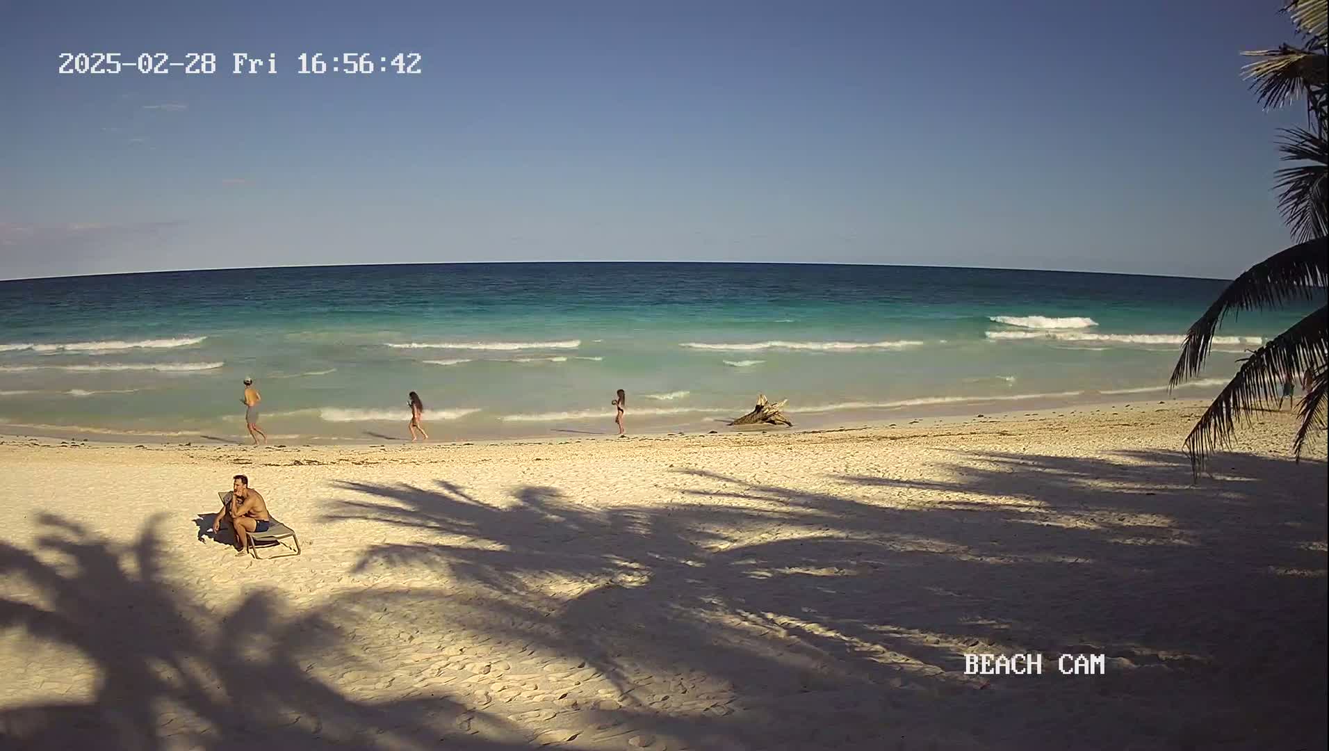 A man sits on a beach chair on a sandy beach with turquoise water and small waves under a clear blue sky, while several other people walk along the shoreline.