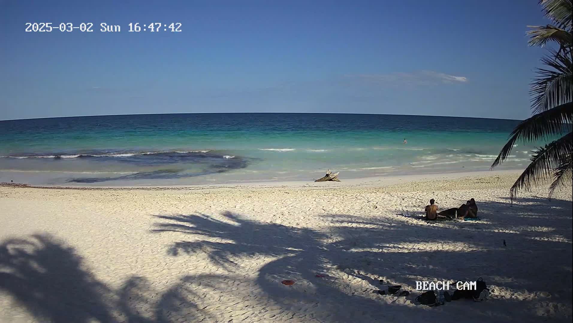 A sandy beach with calm, turquoise water under a clear blue sky; a few people are sitting on the beach in the shade of palm trees.