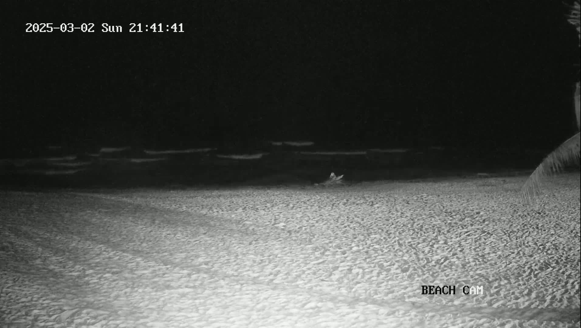 A dark, sandy beach is shown at night with calm, dark water in the background.