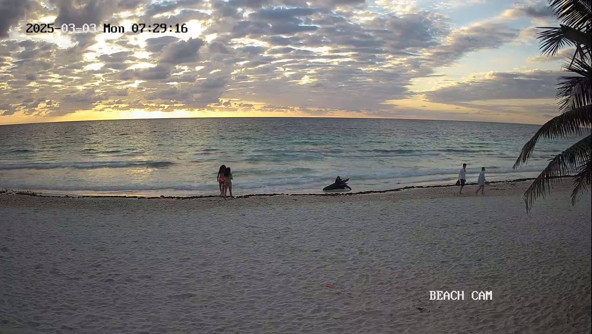 A sandy beach at sunrise, with a calm ocean, two women, and a couple walking along the shoreline.