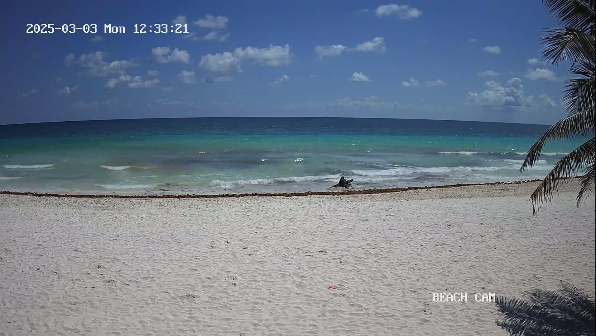 A white sand beach with a partially submerged log near the waterline, under a partly cloudy blue sky, with gentle waves lapping the shore.