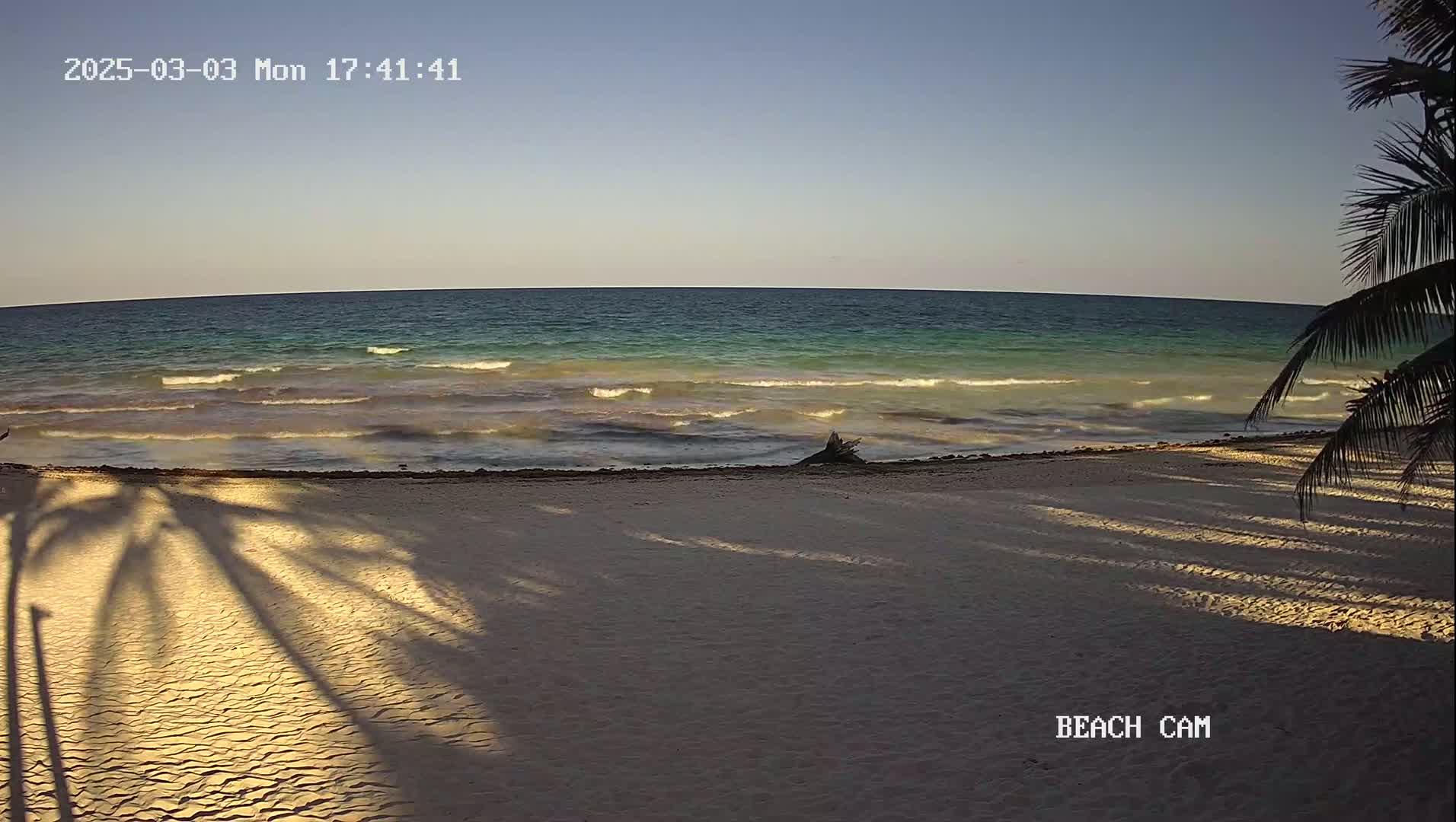 Palm tree shadows stretch across a sandy beach next to a calm, teal ocean under a clear, pale blue sky.