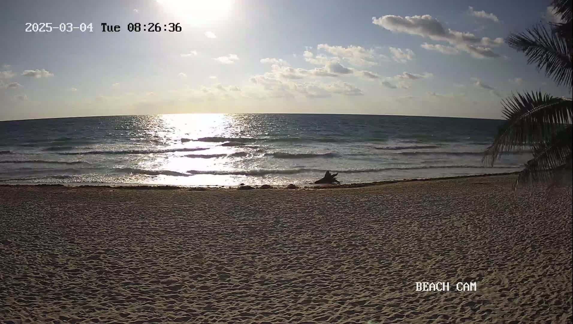 A sandy beach with gentle waves under a partly cloudy, sunny sky, and a piece of driftwood near the waterline.