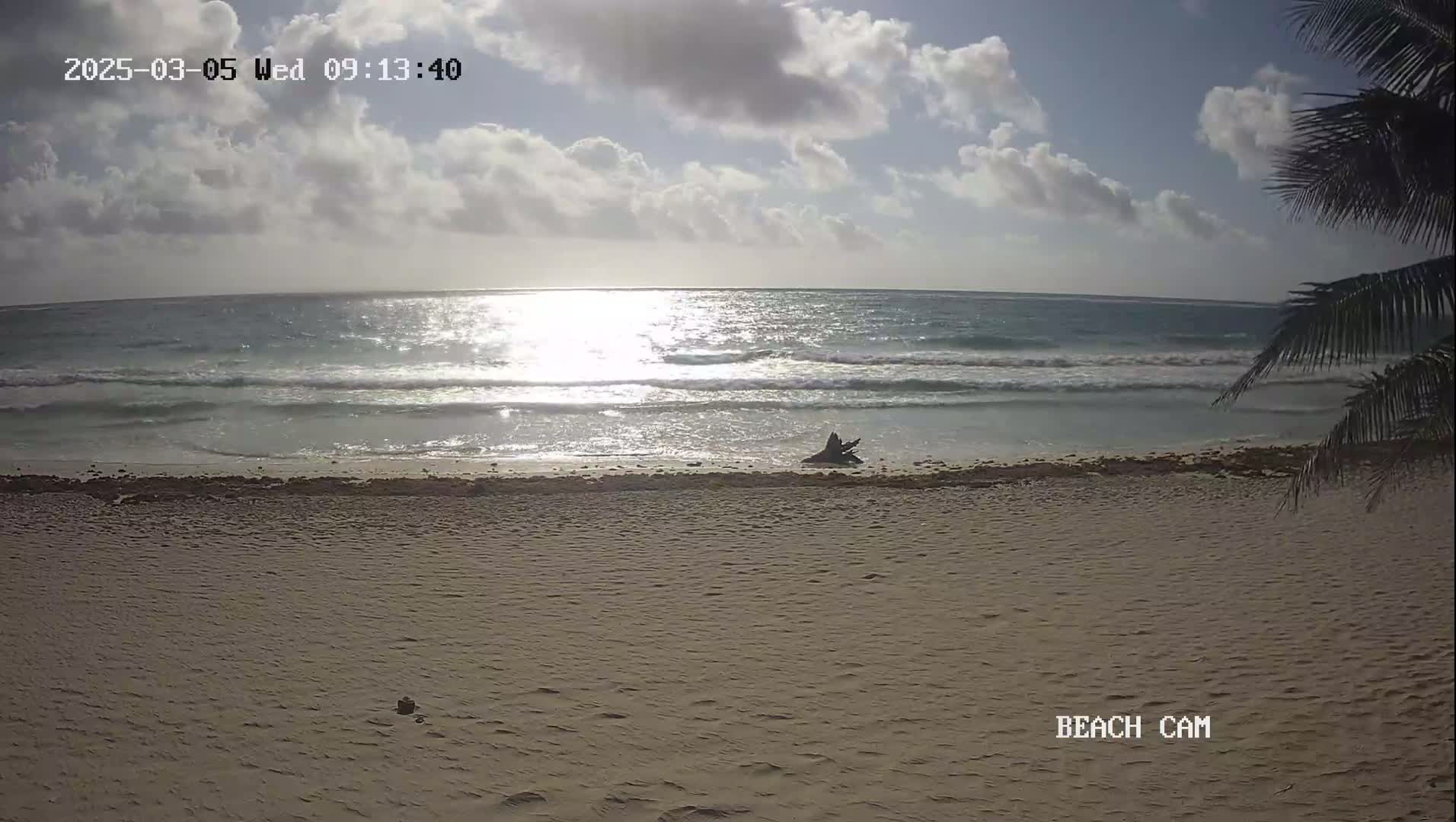 A sandy beach with gentle waves under a partly cloudy sky, partially obscured by palm fronds.