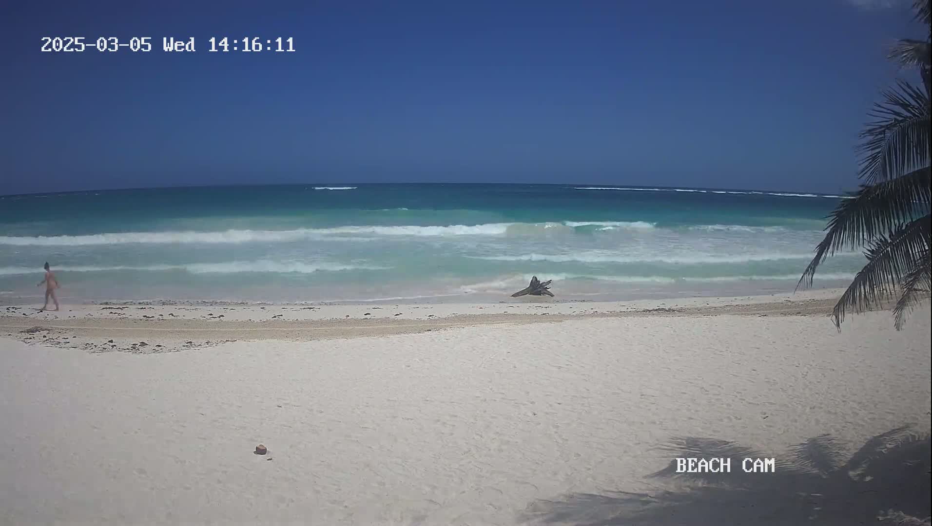 A person walks along a white sand beach towards a turquoise ocean with small waves under a clear blue sky.