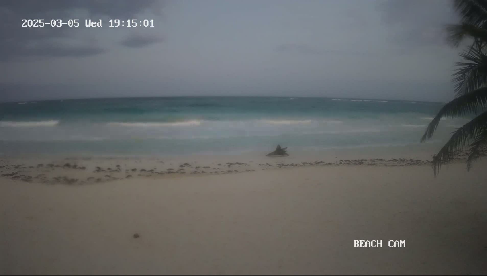 A sandy beach with a gray overcast sky and teal-colored waves gently lapping the shore, partially obscured by a palm tree in the bottom right corner.
