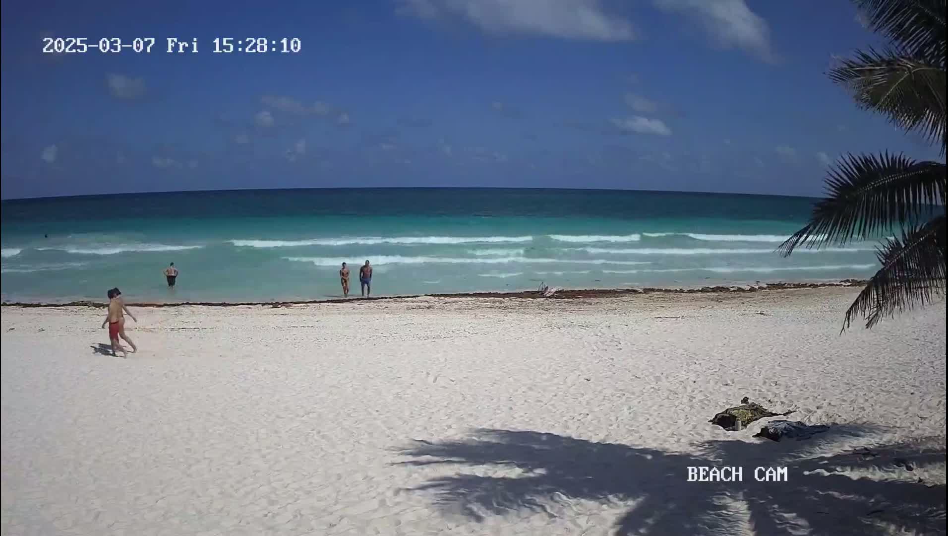 A mostly sunny day shows a white sand beach with a few people in the turquoise water and on the sand, partially obscured by palm fronds.