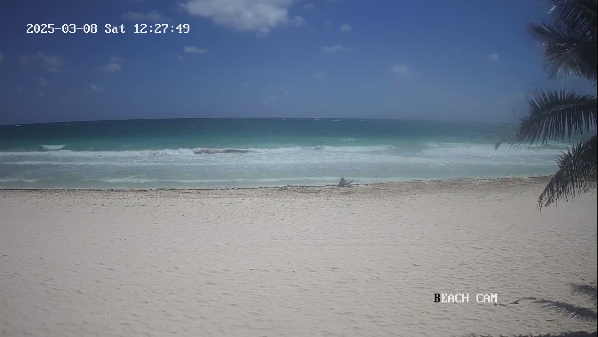 A mostly sunny day shows turquoise water with small waves lapping a white sandy beach partially obscured by palm fronds.