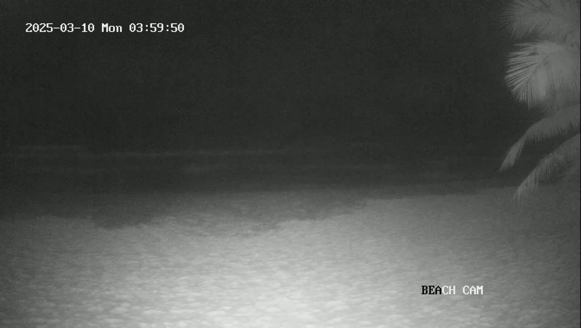 A nighttime, grainy beach scene is visible, showing a dark ocean and a sandy shore with palm trees in the upper right corner.