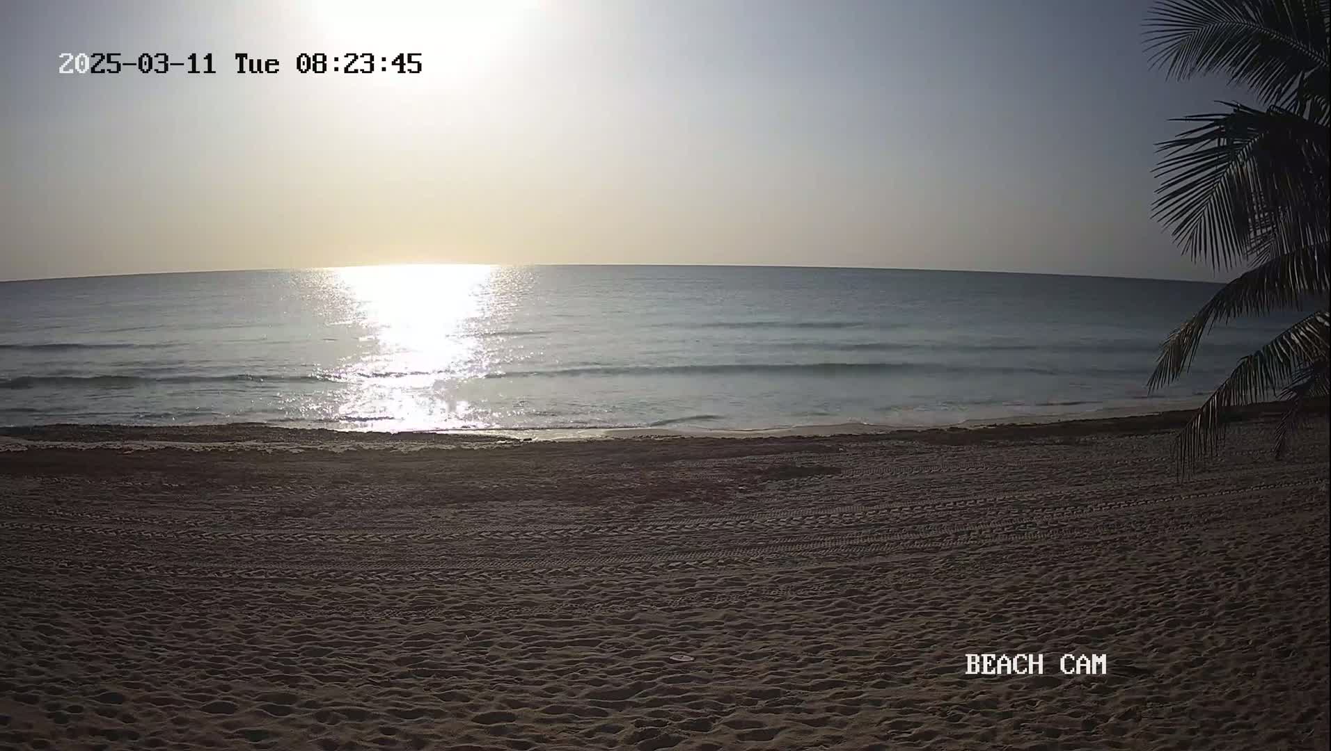 A sandy beach with tire tracks and footprints faces a calm, sunlit ocean under a clear sky.