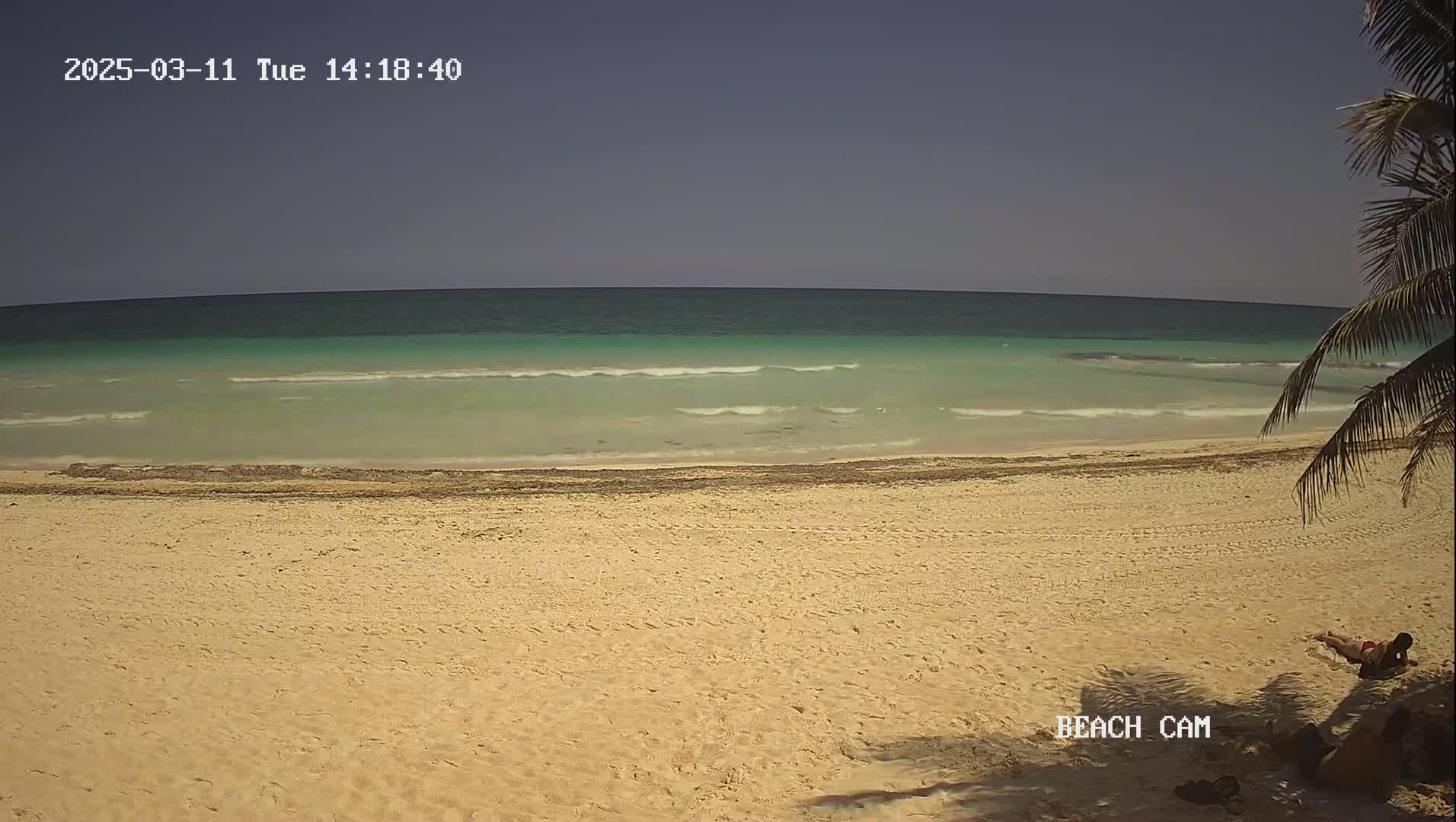 A sandy beach with a calm, teal ocean under a clear sky, partially shaded by a palm tree, with a person lying on the sand in the lower right corner.