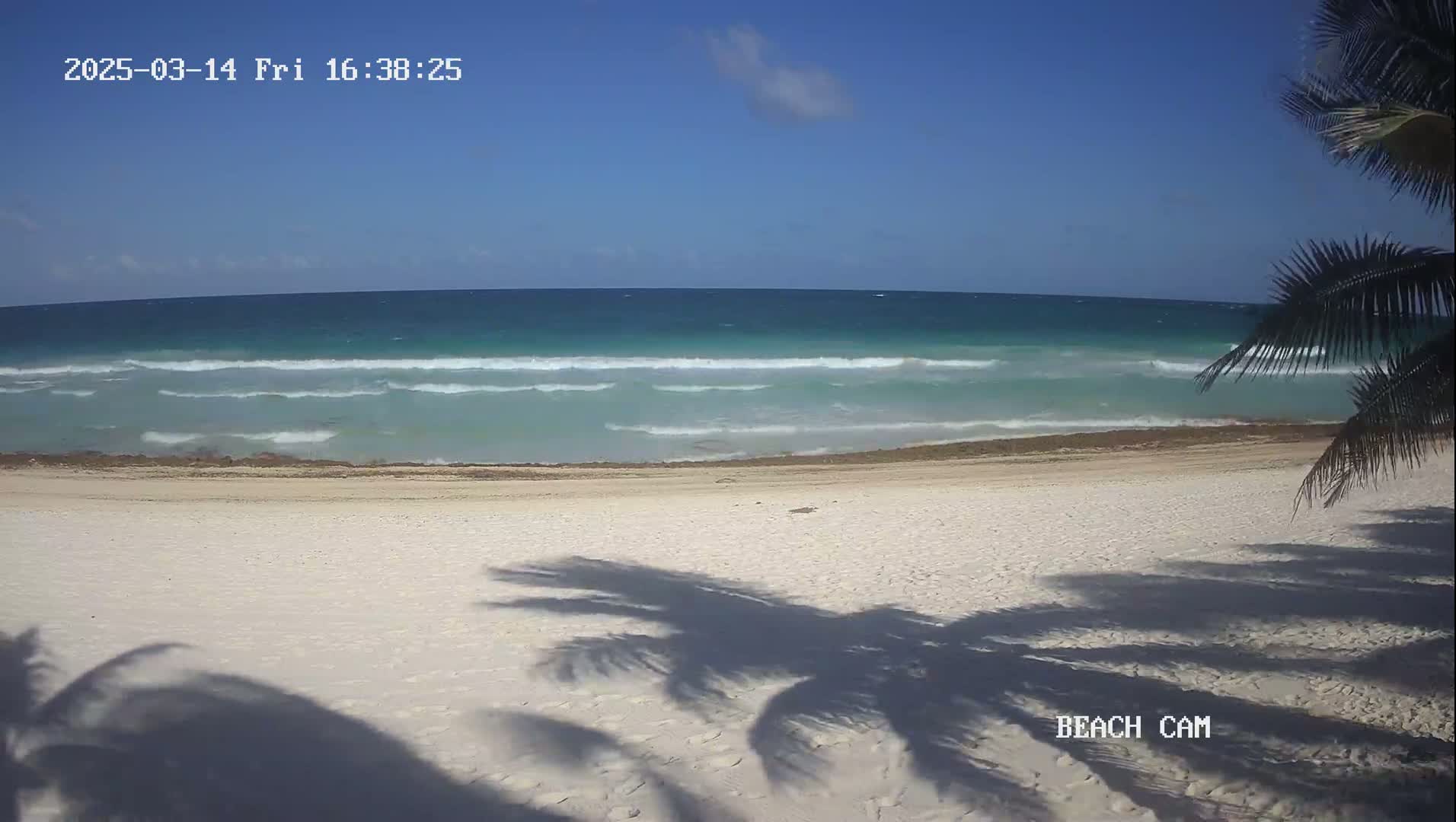 A white sand beach with palm tree shadows stretches to a turquoise ocean with moderate waves under a clear blue sky.