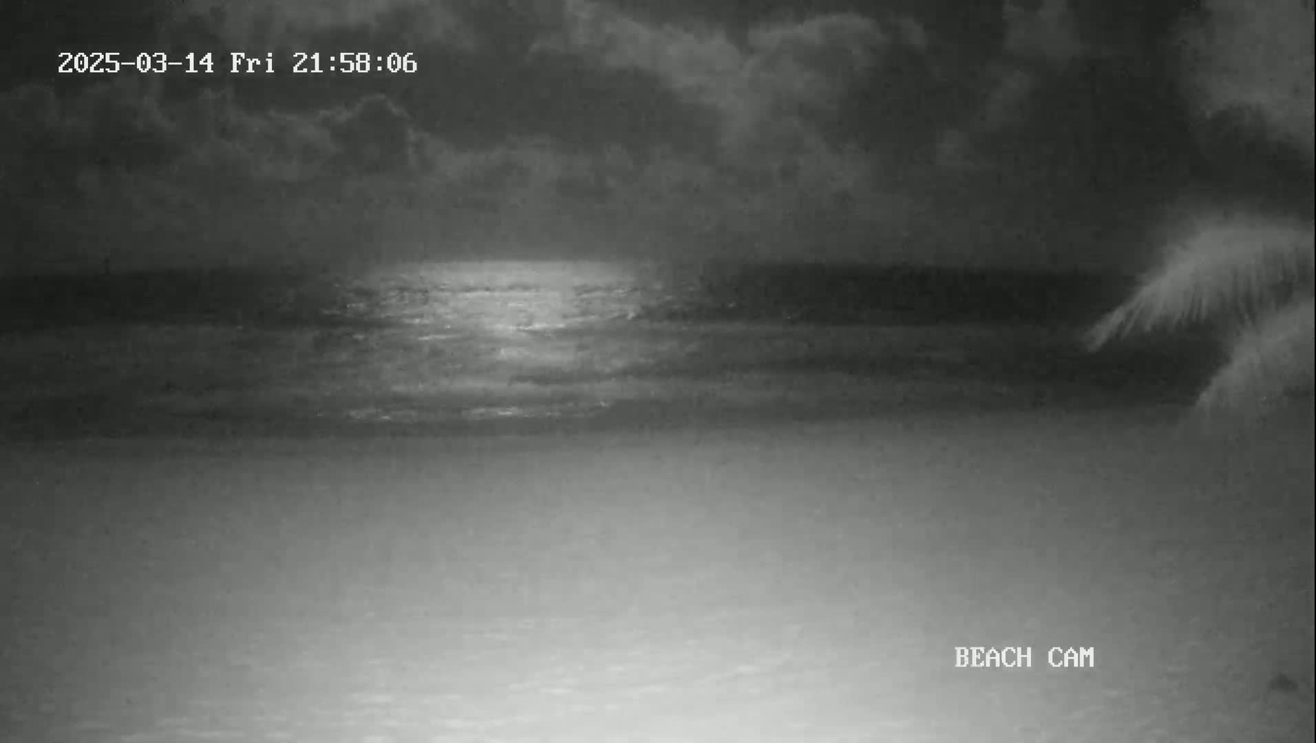 A nighttime beach scene shows a dark, cloudy sky over calm ocean waves, with a sliver of moonlight reflecting on the water and a palm tree partially visible in the upper right corner.