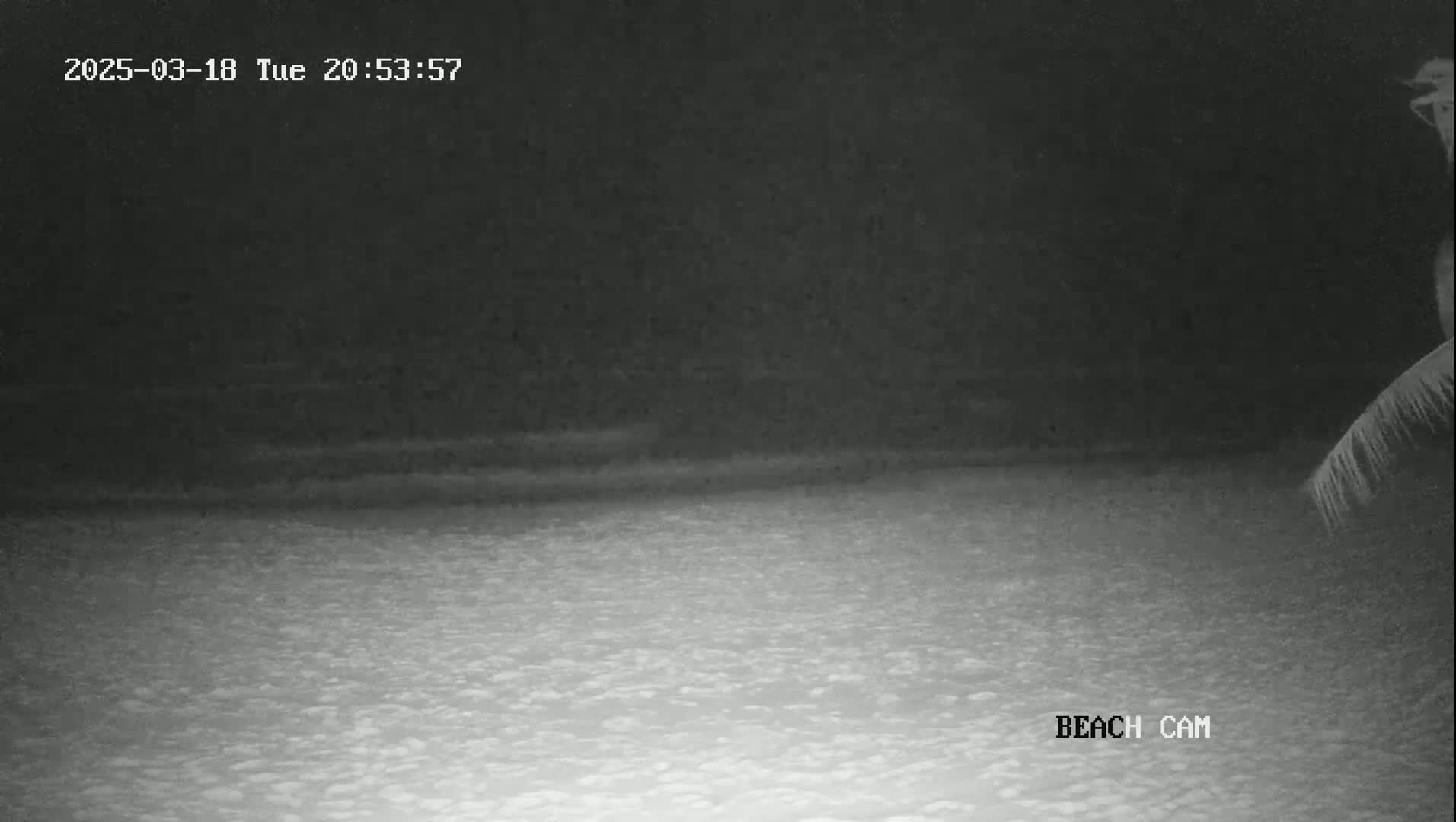 A nighttime beach scene is shown, with a dark sky and a dimly lit sandy beach.
