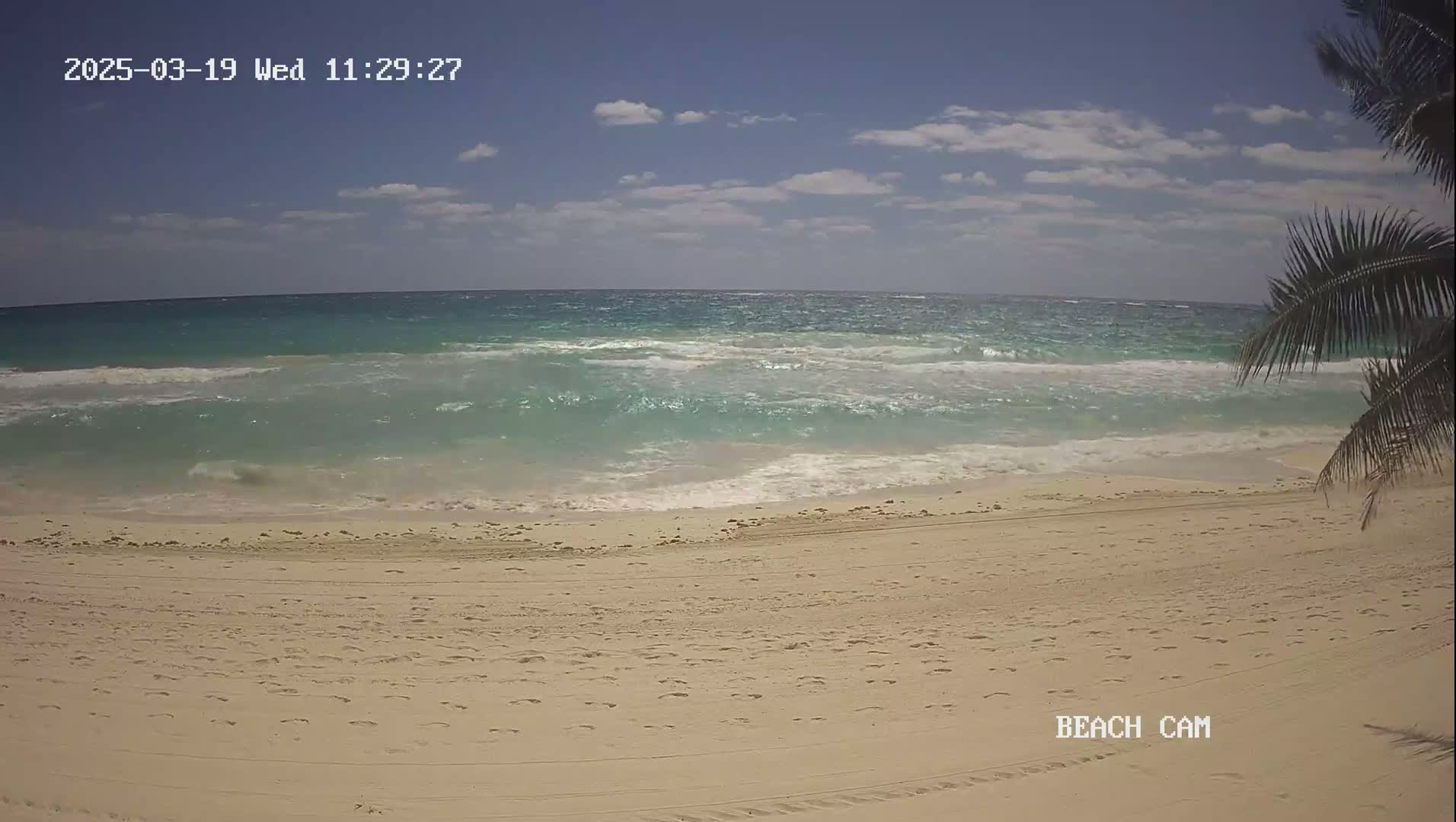 A sandy beach with footprints shows a partly cloudy sky and turquoise waves lapping the shore, with a palm tree partially visible in the right corner.
