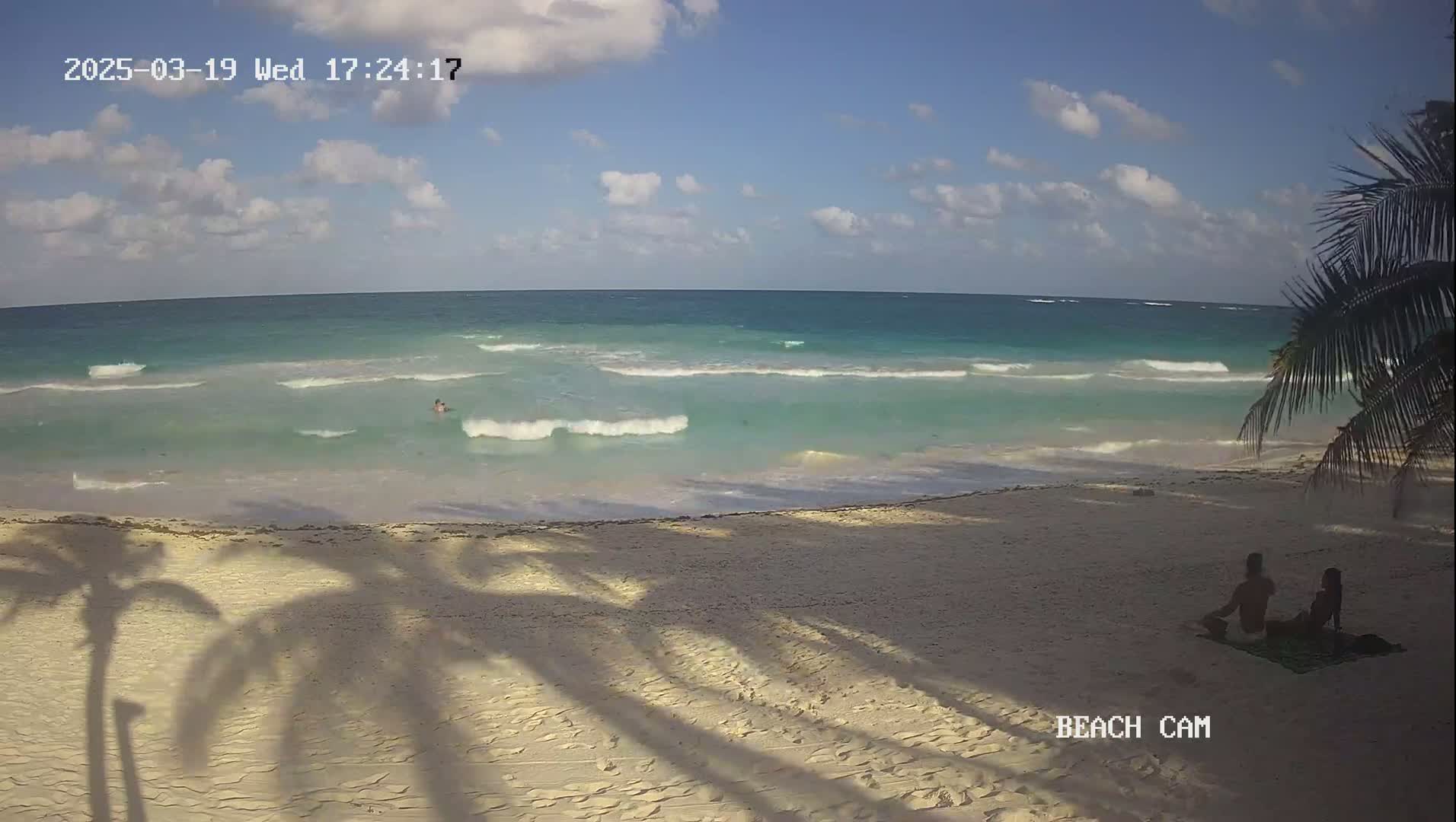 A sandy beach with gentle waves and a partly cloudy sky, where two people sit on a blanket in the shade of palm trees.