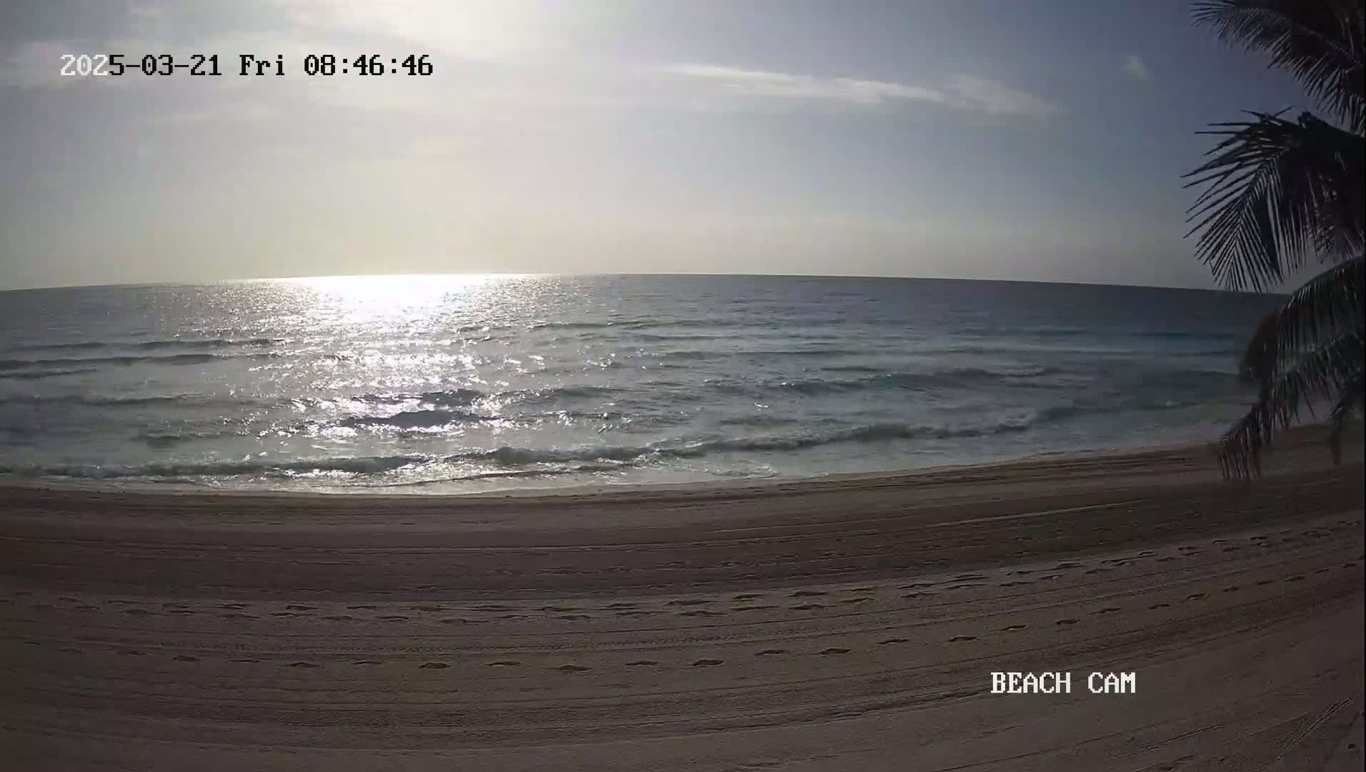 A sandy beach with footprints stretches toward a calm ocean under a mostly clear sky, partially obscured by a palm tree.