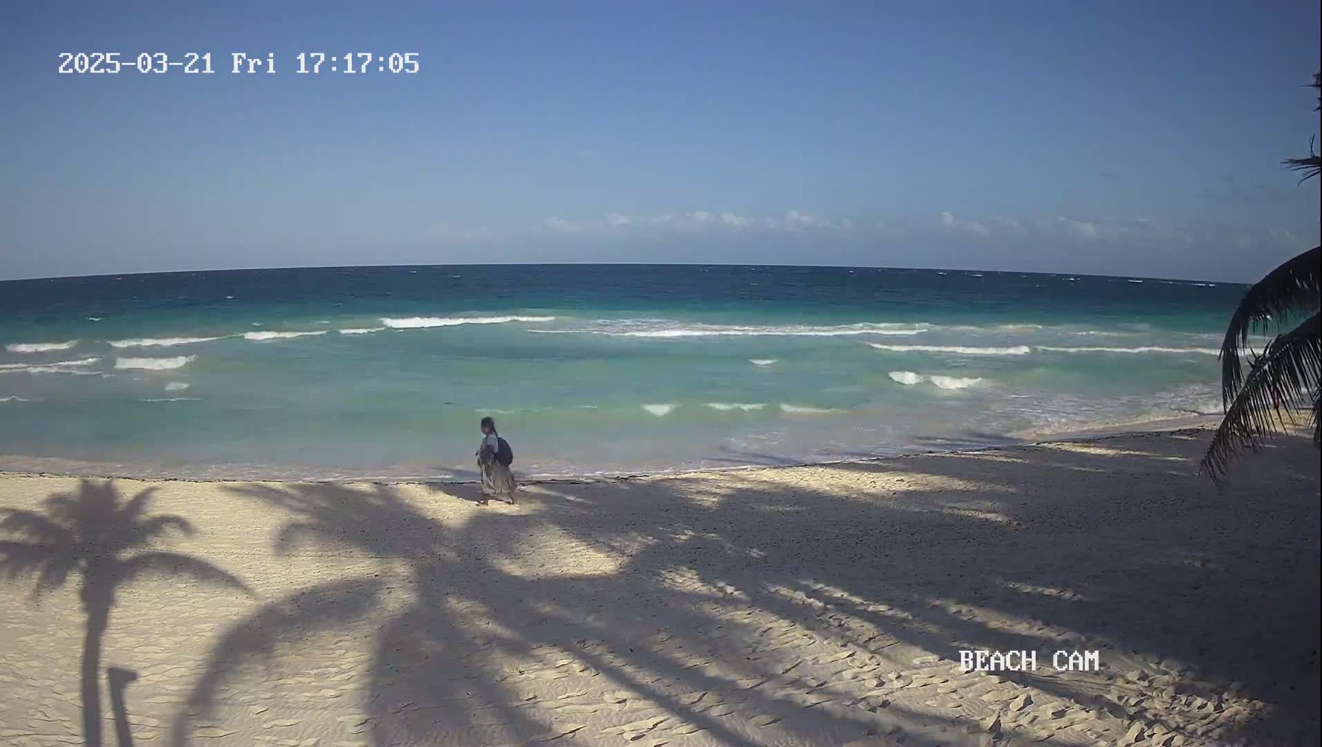 A person walks on a sandy beach with palm tree shadows under a clear blue sky and turquoise ocean with small waves.