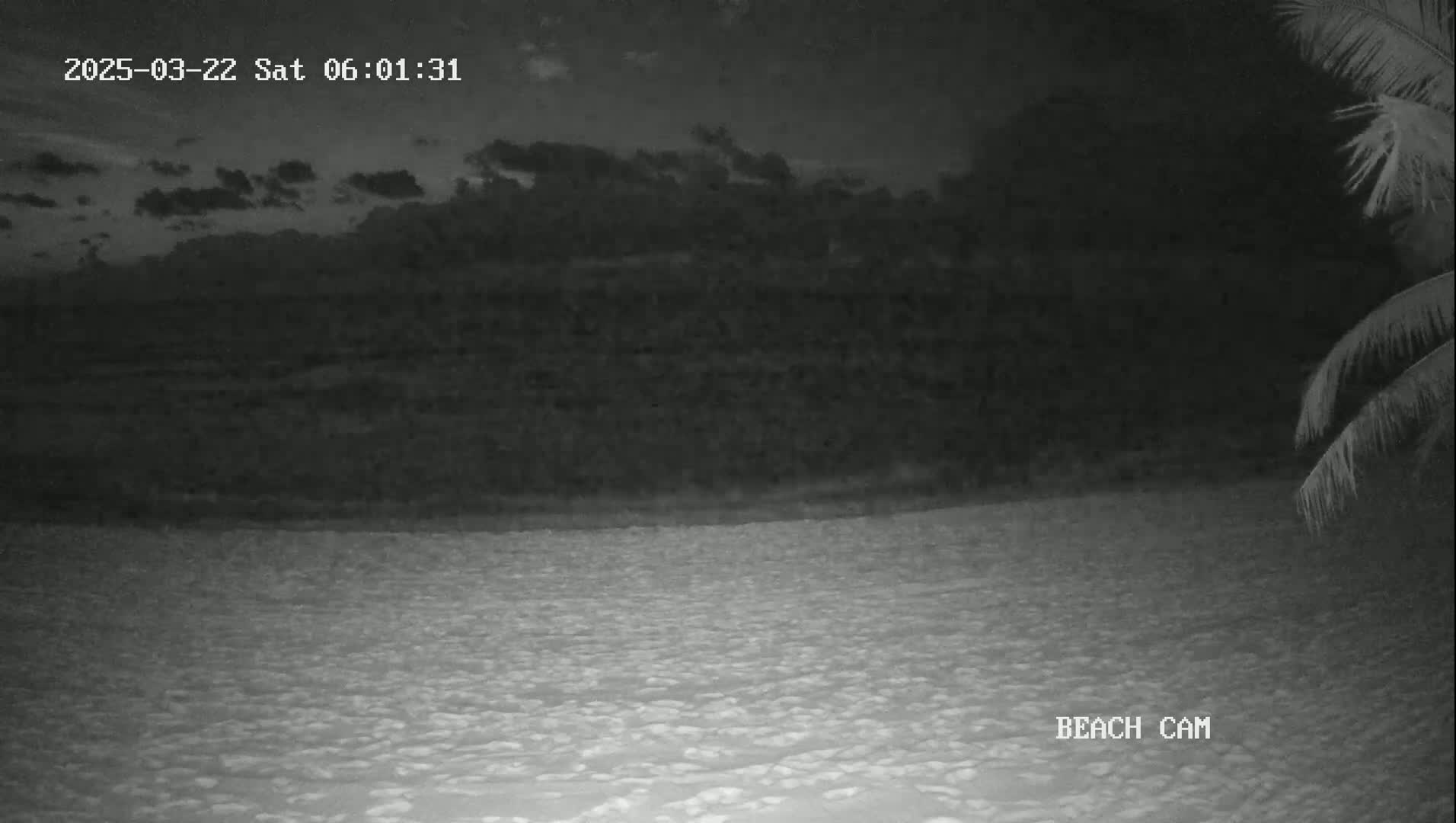 A nighttime beach scene under a cloudy sky shows a dark shoreline and a seemingly calm, sandy beach.