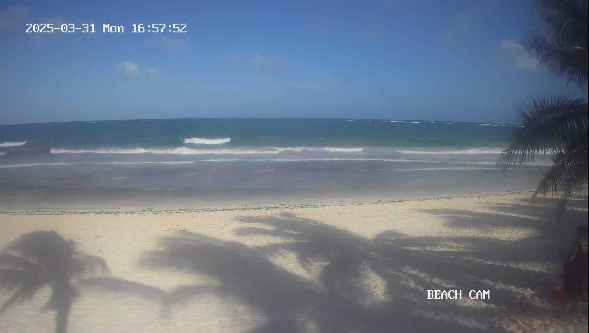 A mostly sunny beach scene shows light waves lapping a sandy shore, partially obscured by palm tree shadows.