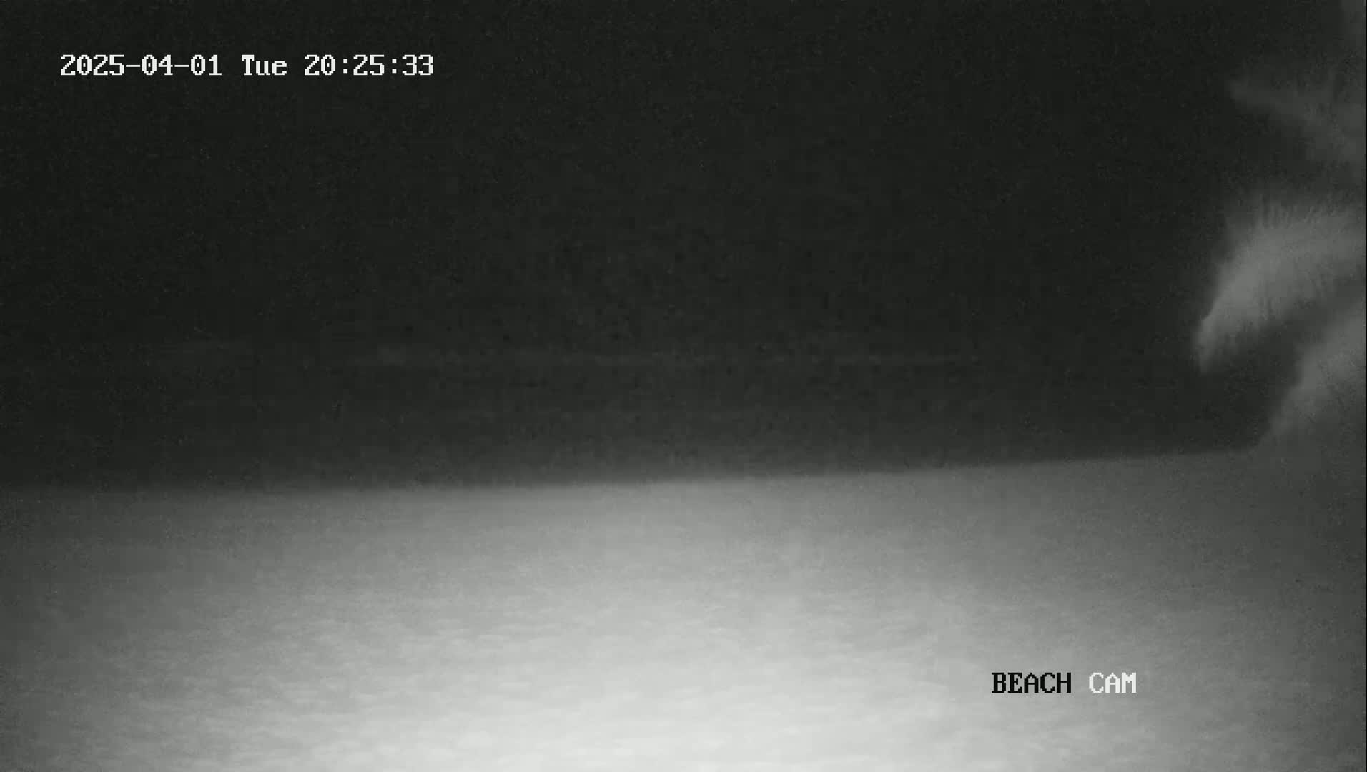 A nighttime beach scene is shown, with a dark sky and a light-colored sandy beach.