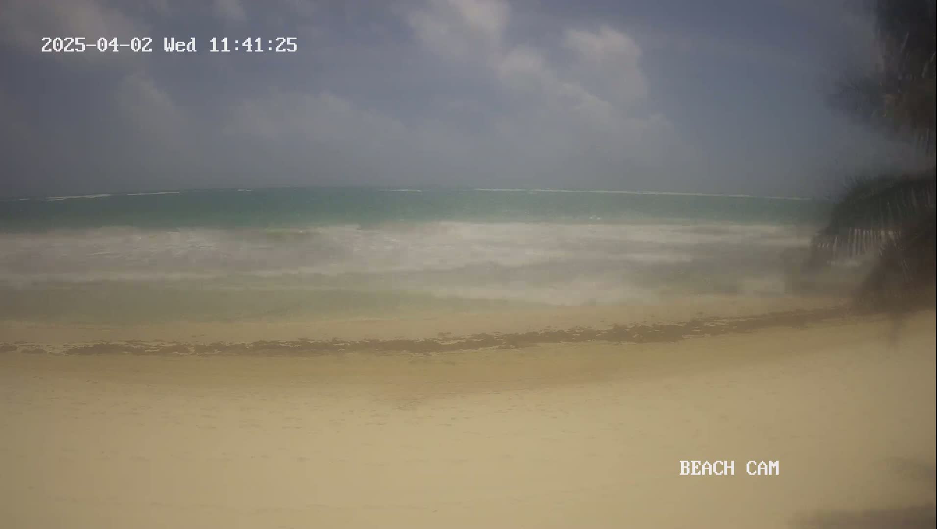 A sandy beach with somewhat choppy ocean waves under a cloudy sky is visible, partially obscured by palm fronds in the lower right corner.