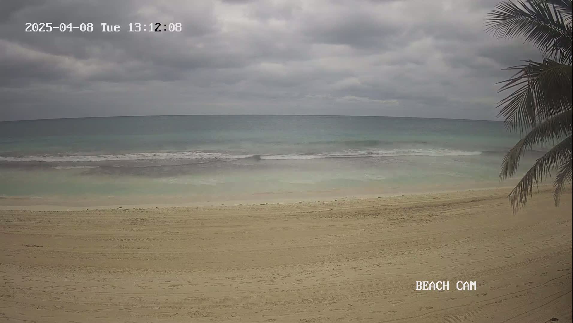 A sandy beach with gentle waves on a cloudy day, partially obscured by palm fronds in the lower right corner.