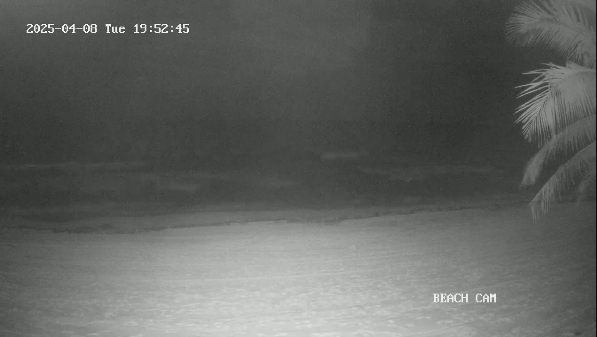 A nighttime beach scene is shown, with dark water and a sandy shore, partially illuminated, under a dark sky.