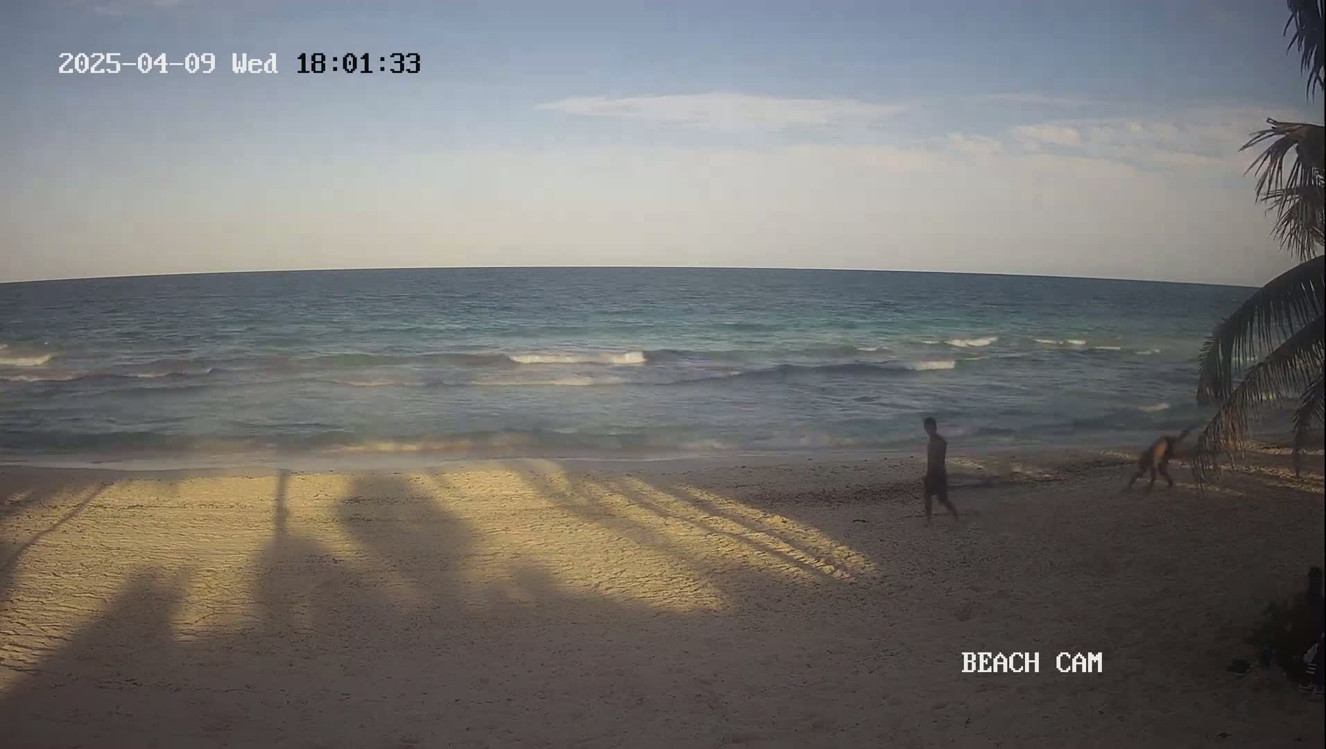 A sandy beach with gentle waves under a mostly clear sky, where two people walk along the shore near palm trees.