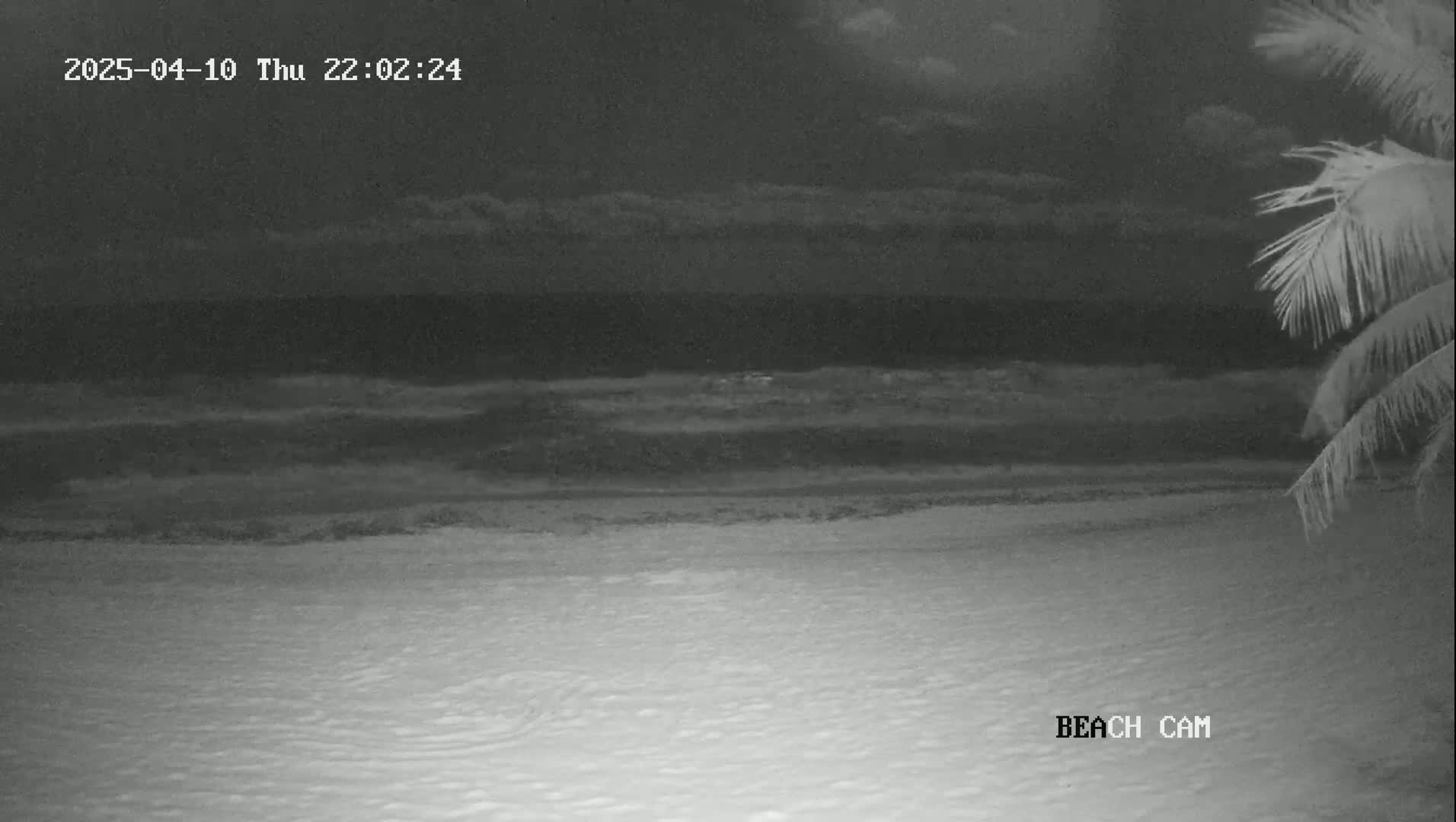 A nighttime beach scene shows gently rolling waves under a cloudy sky, with part of a palm tree visible in the right corner.