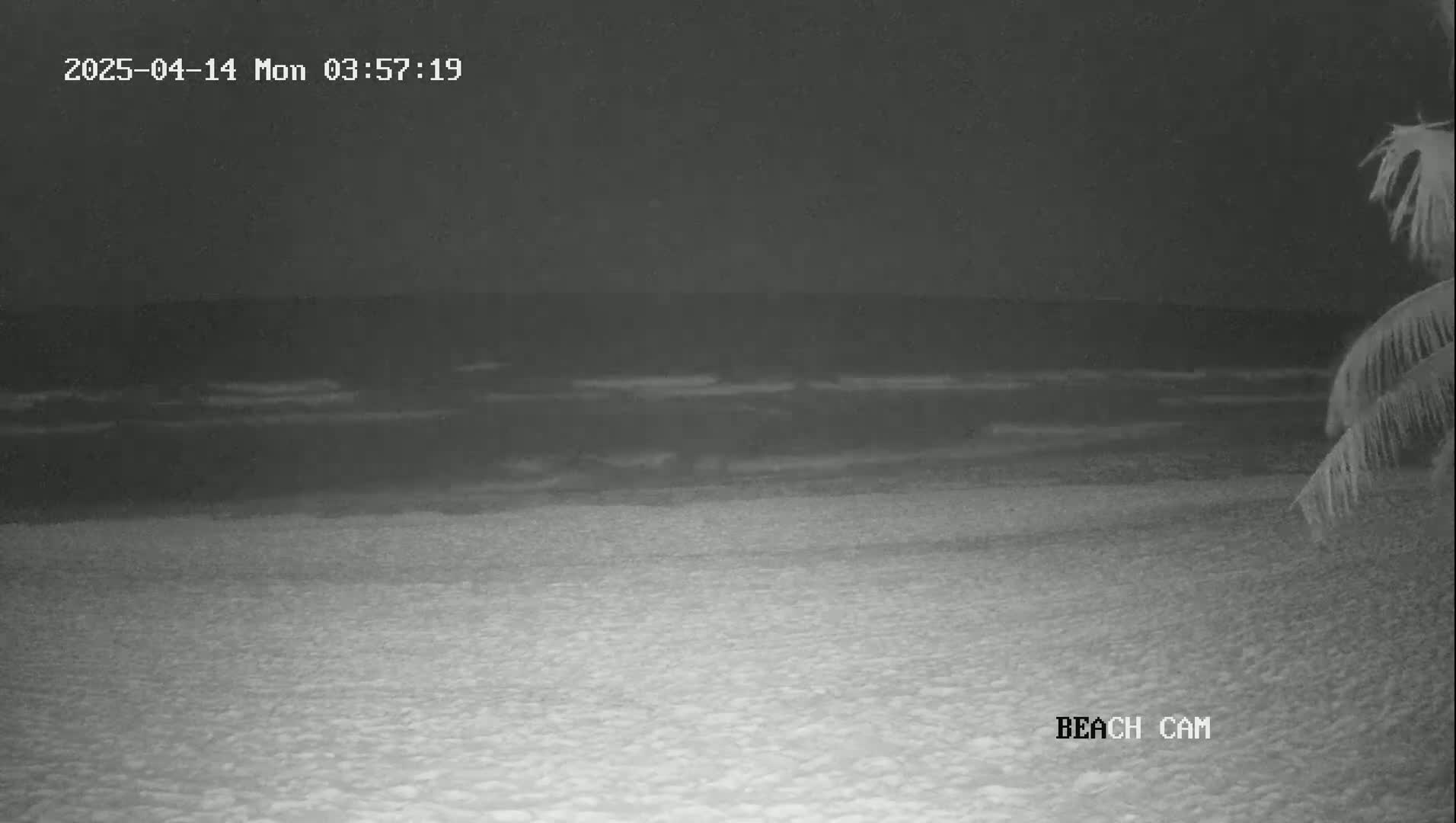 A dark, nighttime beach scene shows a relatively calm ocean with small waves lapping the shore, partially obscured by the low light.