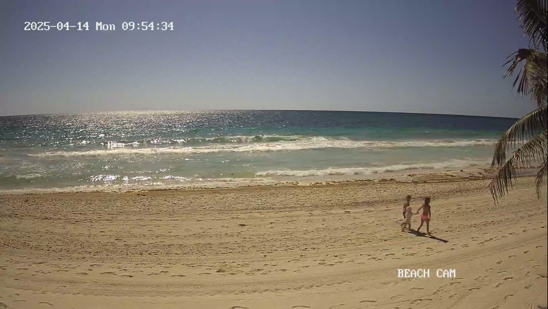 Two children walk on a sandy beach toward the ocean under a clear, sunny sky.
