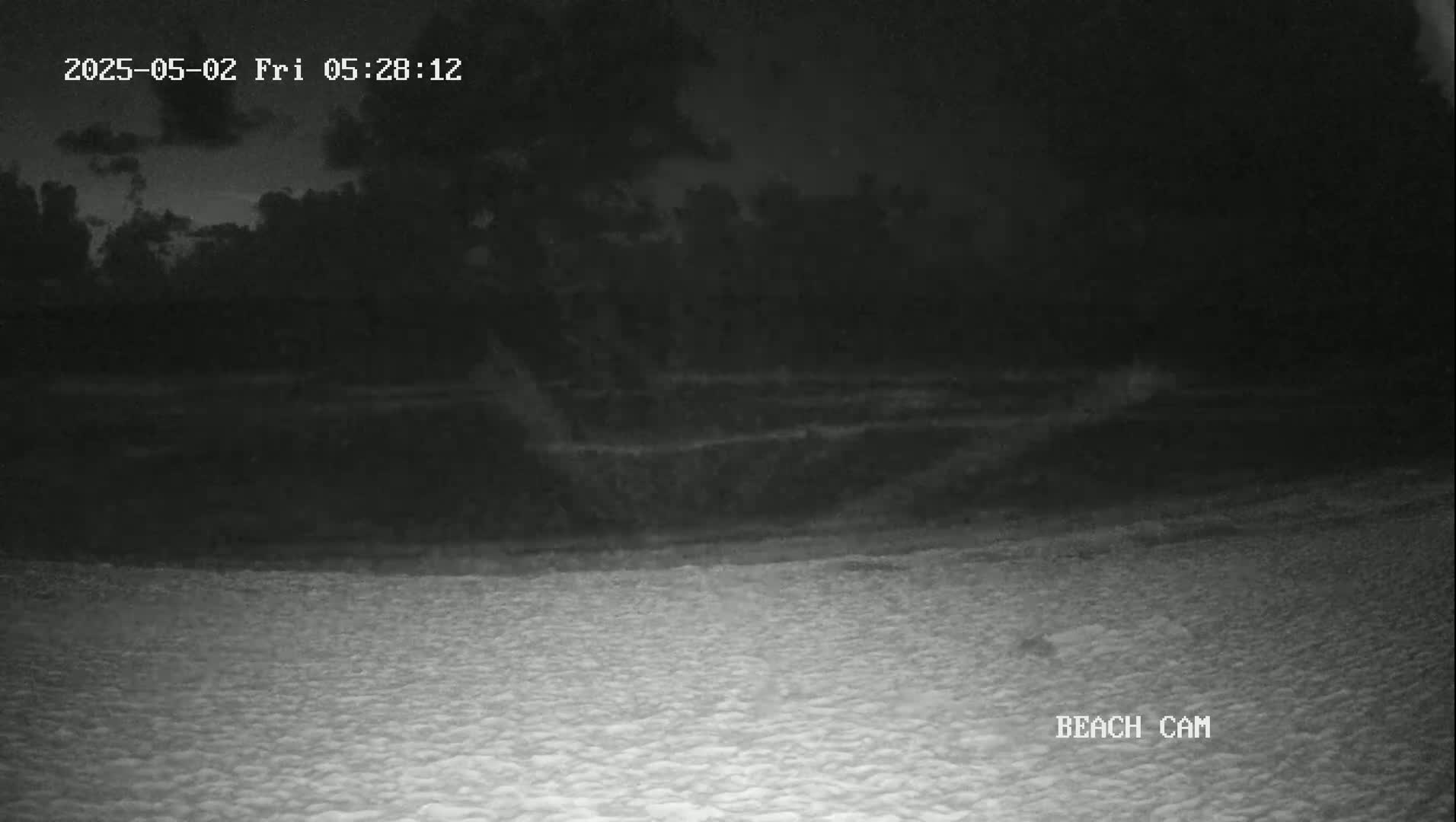 A nighttime beach scene under a cloudy sky shows dark vegetation in the background and a light-colored sandy beach in the foreground.
