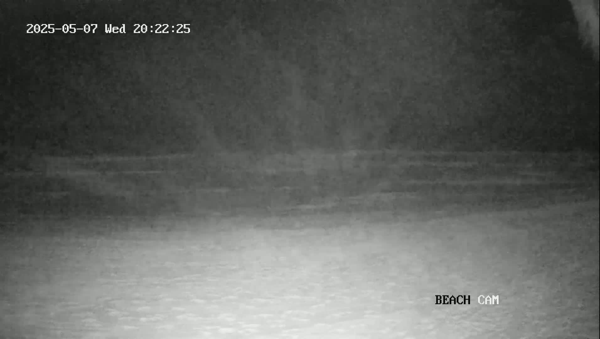 A grainy nighttime beach scene shows dark water and lighter sand under a mostly cloudy sky.
