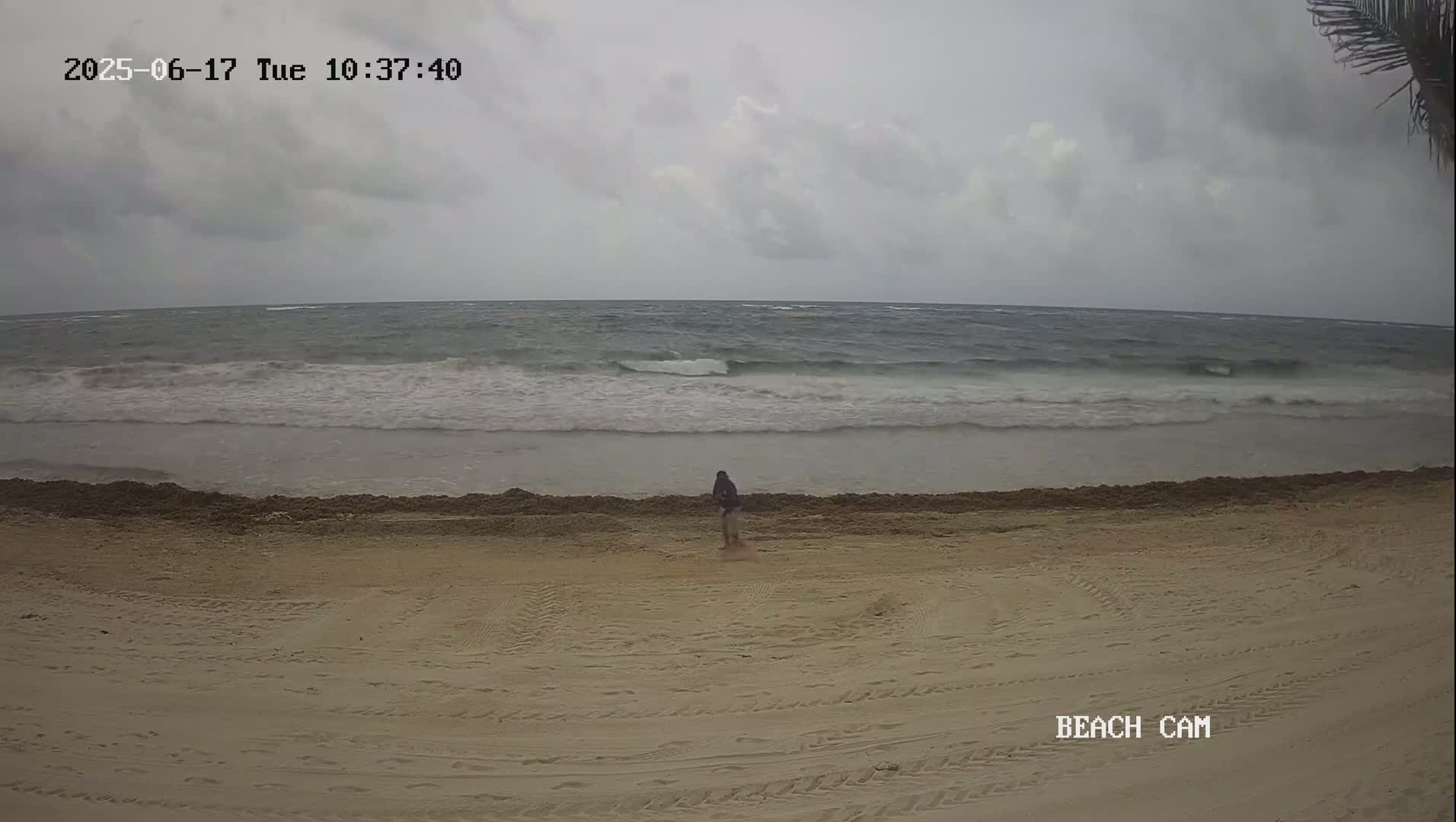 A person walks on a sandy beach near a wavy ocean under an overcast sky.
