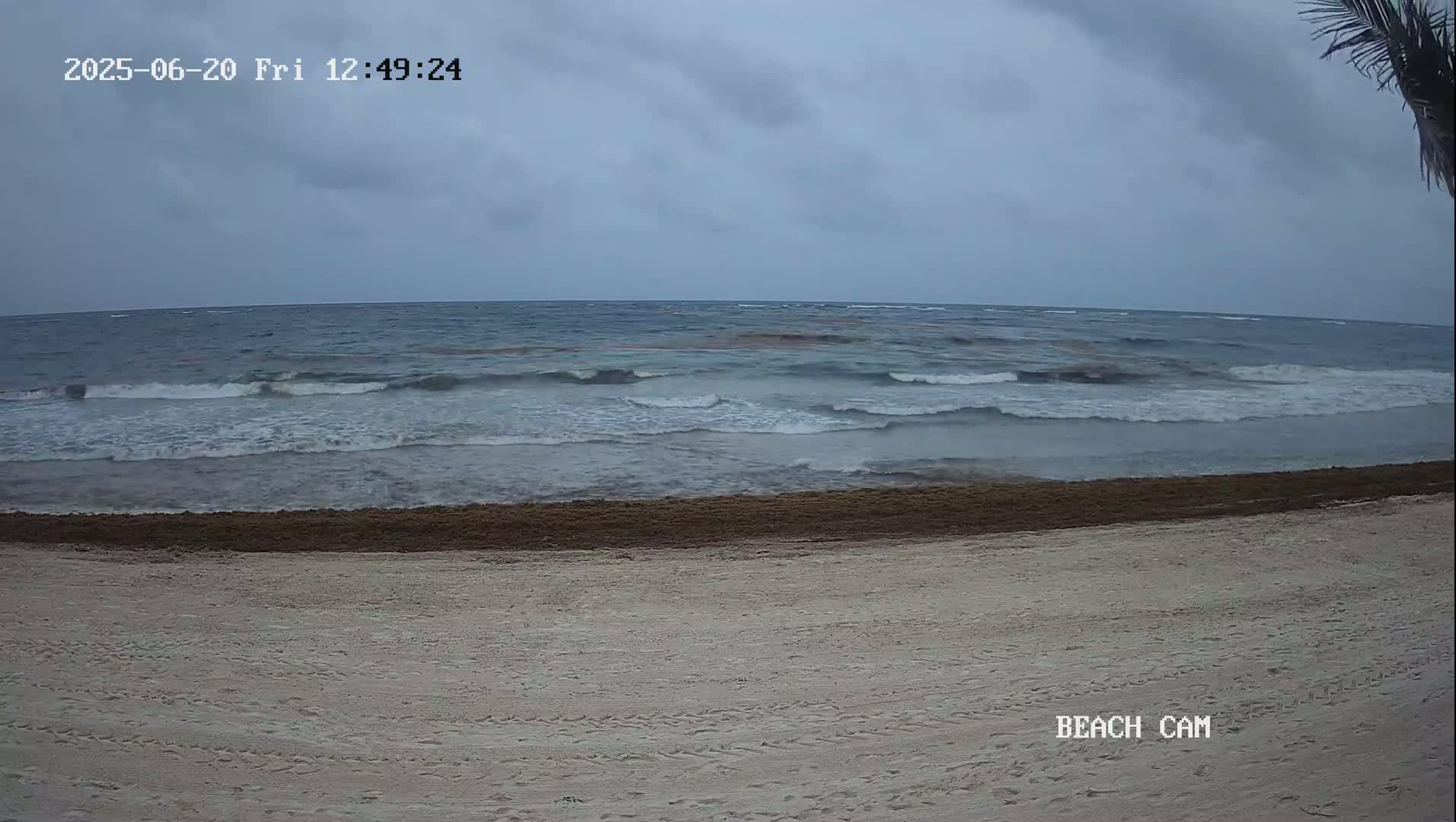 A sandy beach with a line of seaweed at the water's edge meets a gray, somewhat overcast sky and a sea with small waves.
