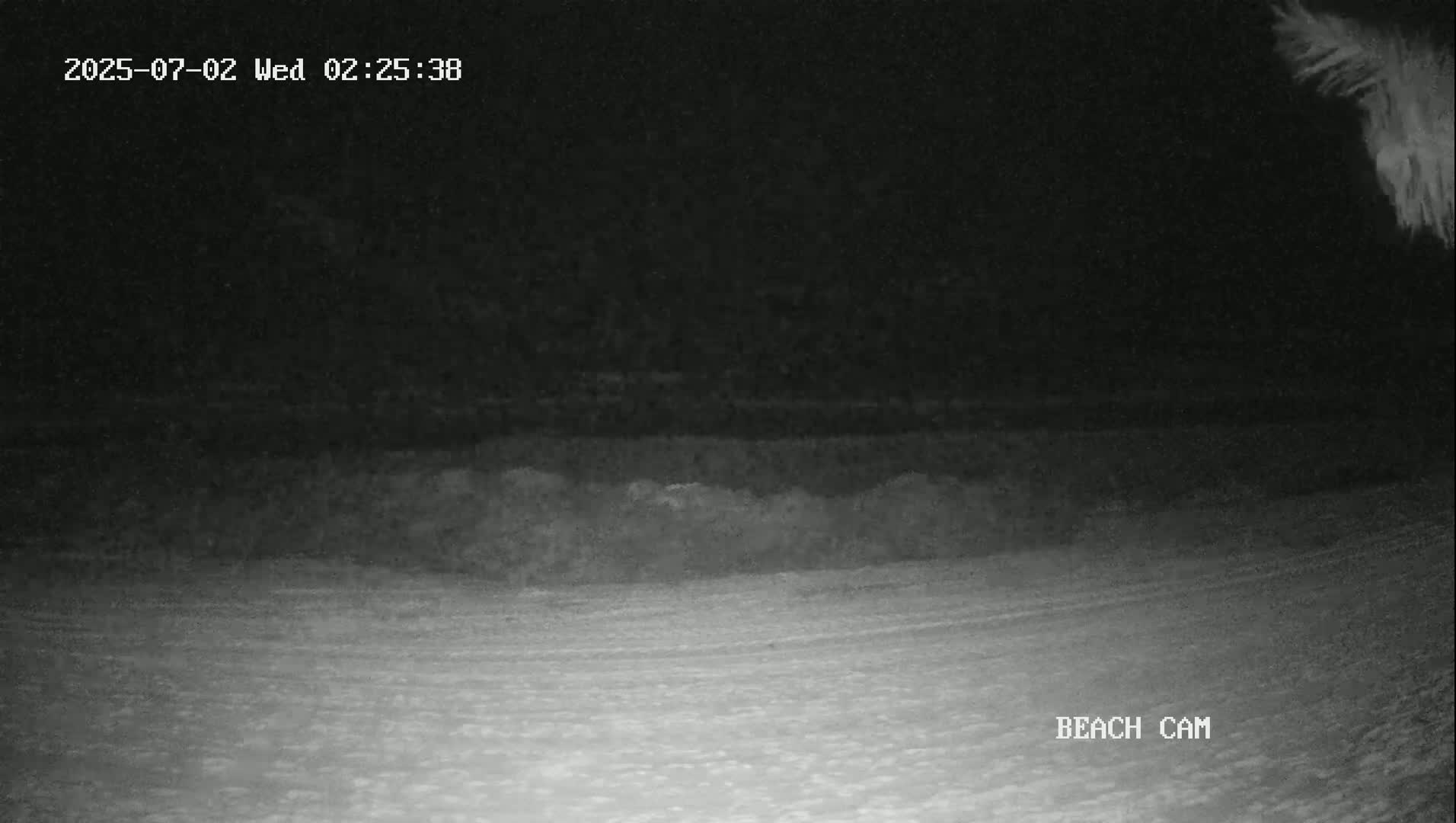A nighttime beach scene shows dark water meeting a lighter-colored, sandy shore under a dark sky.