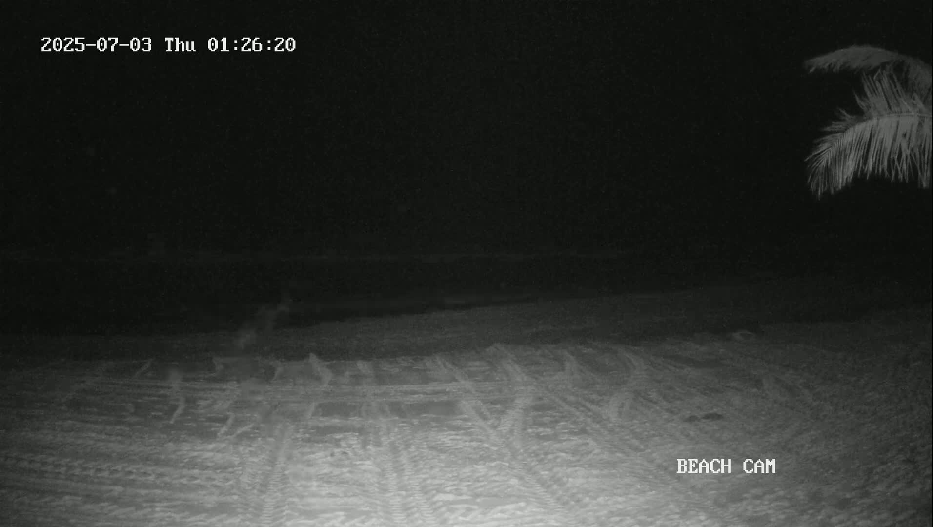 Yucatan, Playa de Tulum Beach Live Cam - Tulum,  Quintana Roo, Mexico