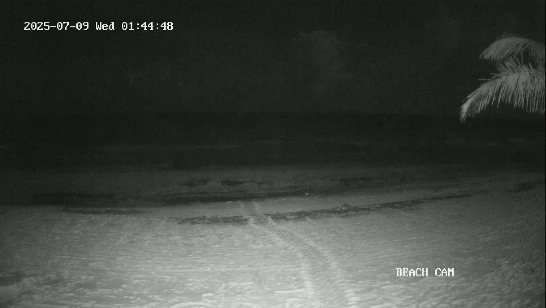 Yucatan, Playa de Tulum Beach Live Cam - Tulum,  Quintana Roo, Mexico