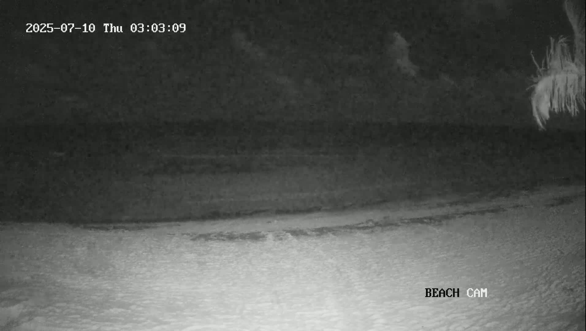 A nighttime, low-light image shows a dark beach and ocean under a cloudy sky.