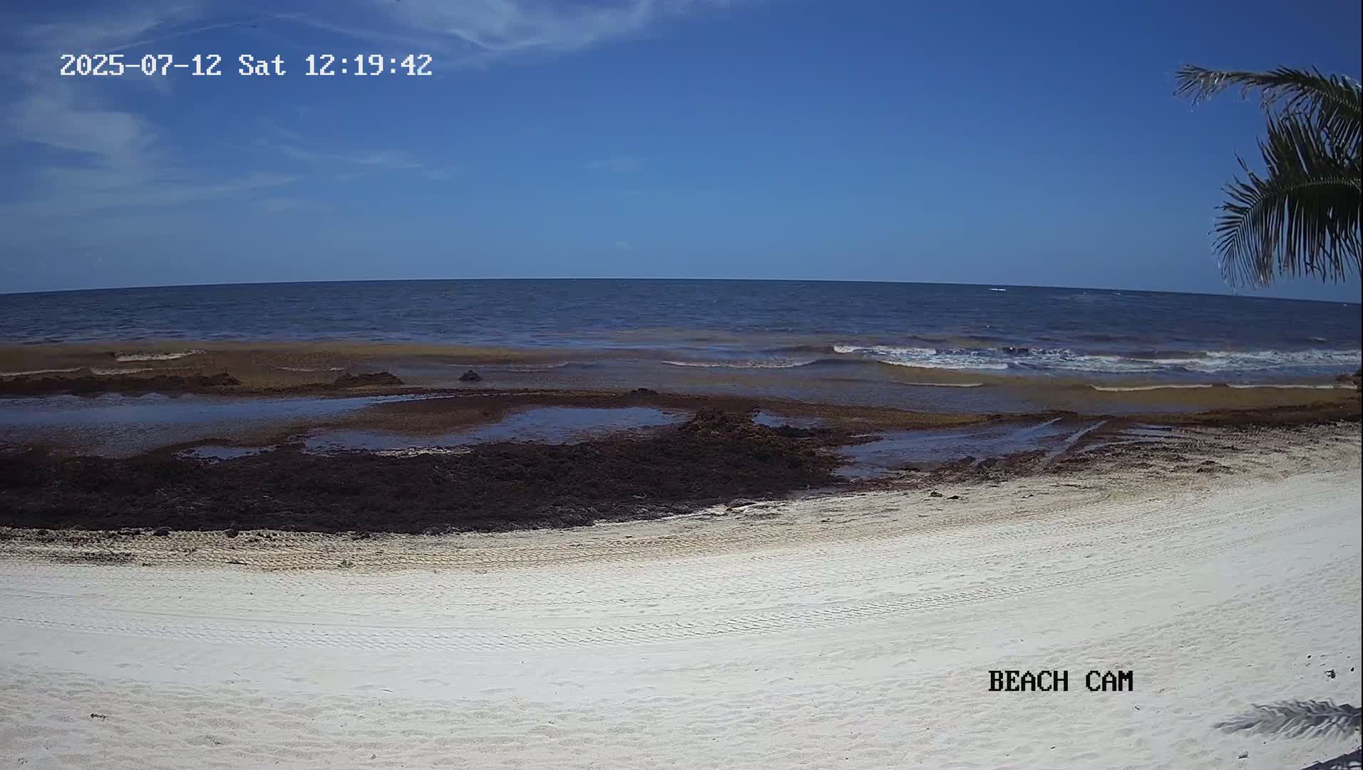 Yucatan, Playa de Tulum Beach Live Cam - Tulum,  Quintana Roo, Mexico