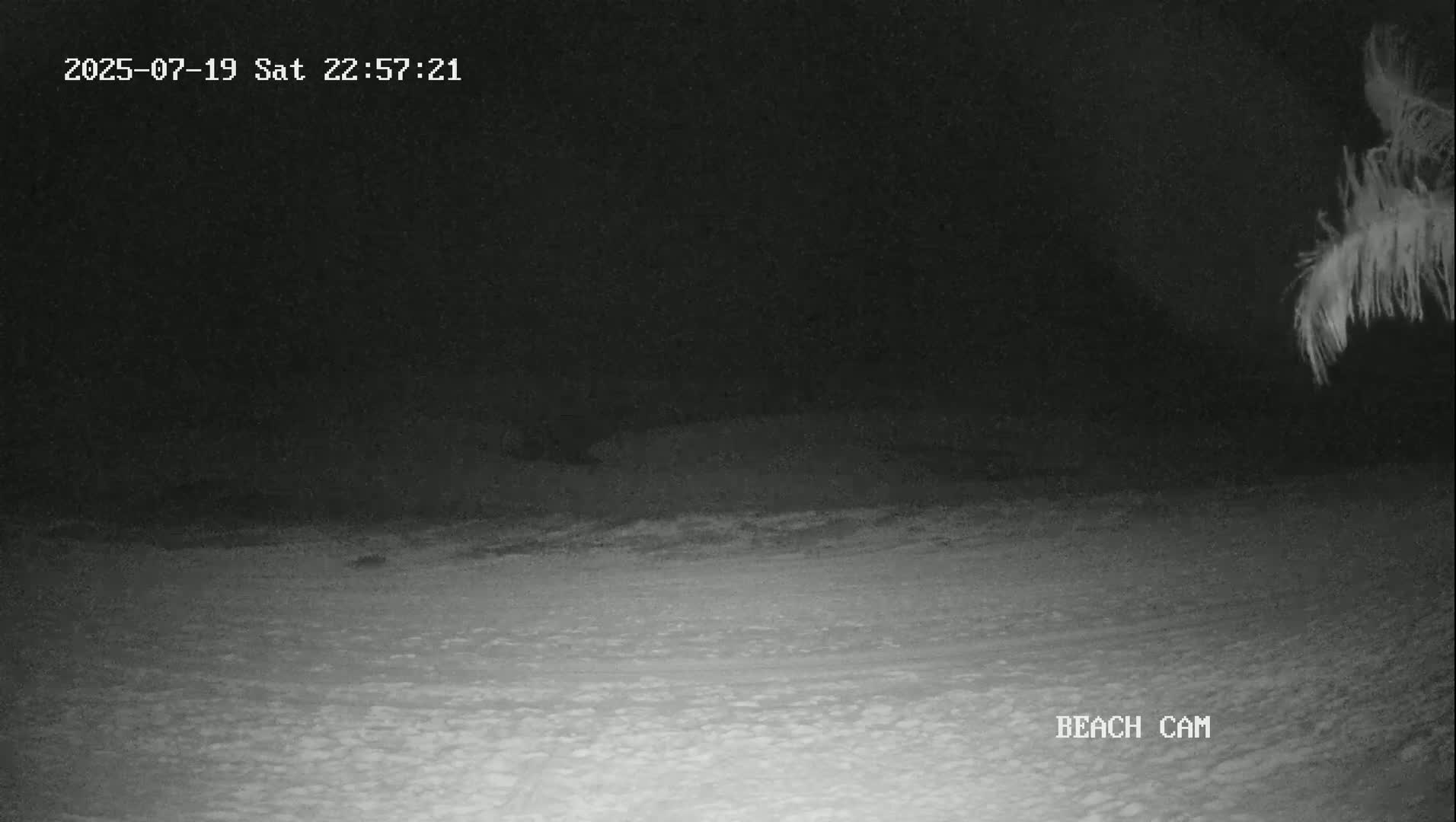 Yucatan, Playa de Tulum Beach Live Cam - Tulum,  Quintana Roo, Mexico