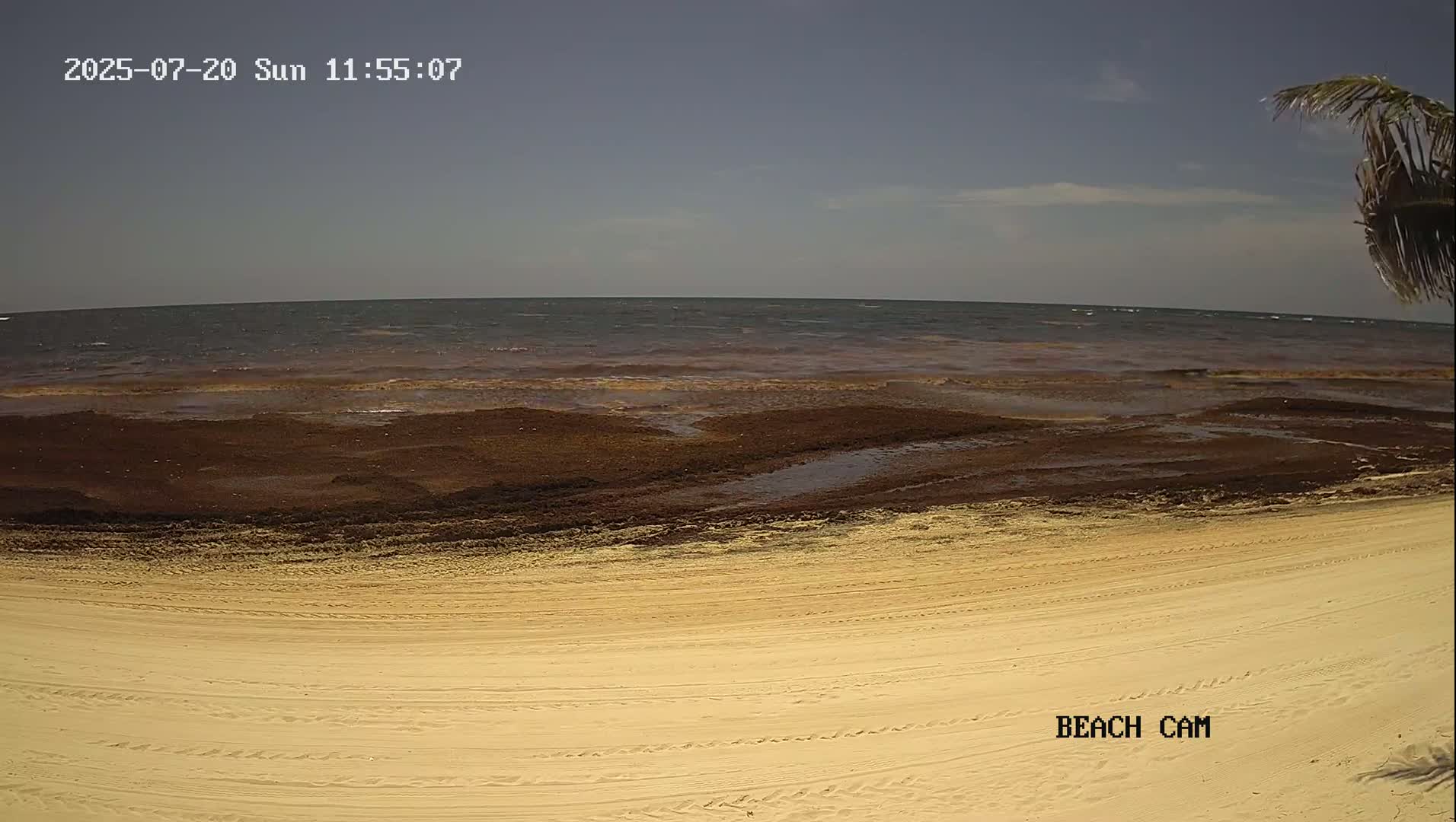 Yucatan, Playa de Tulum Beach Live Cam - Tulum,  Quintana Roo, Mexico