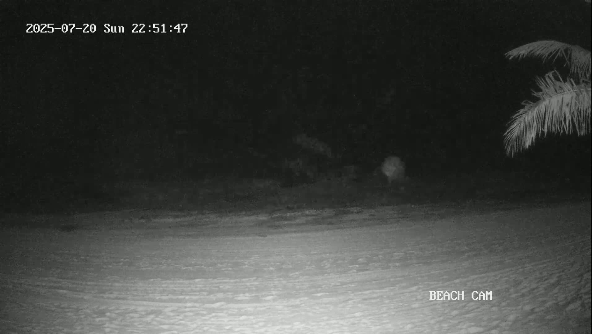 Yucatan, Playa de Tulum Beach Live Cam - Tulum,  Quintana Roo, Mexico