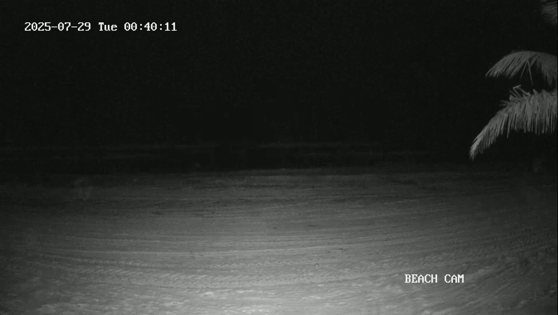 Yucatan, Playa de Tulum Beach Live Cam - Tulum,  Quintana Roo, Mexico