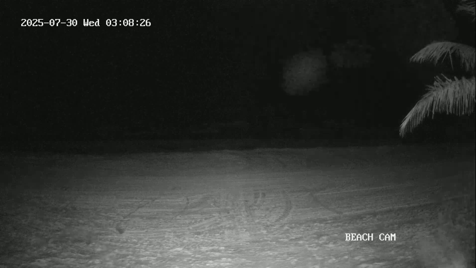 Yucatan, Playa de Tulum Beach Live Cam - Tulum,  Quintana Roo, Mexico