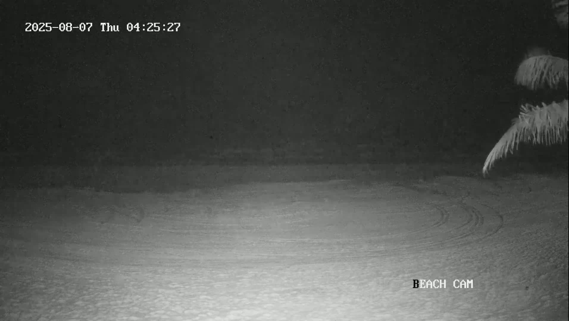 Yucatan, Playa de Tulum Beach Live Cam - Tulum,  Quintana Roo, Mexico