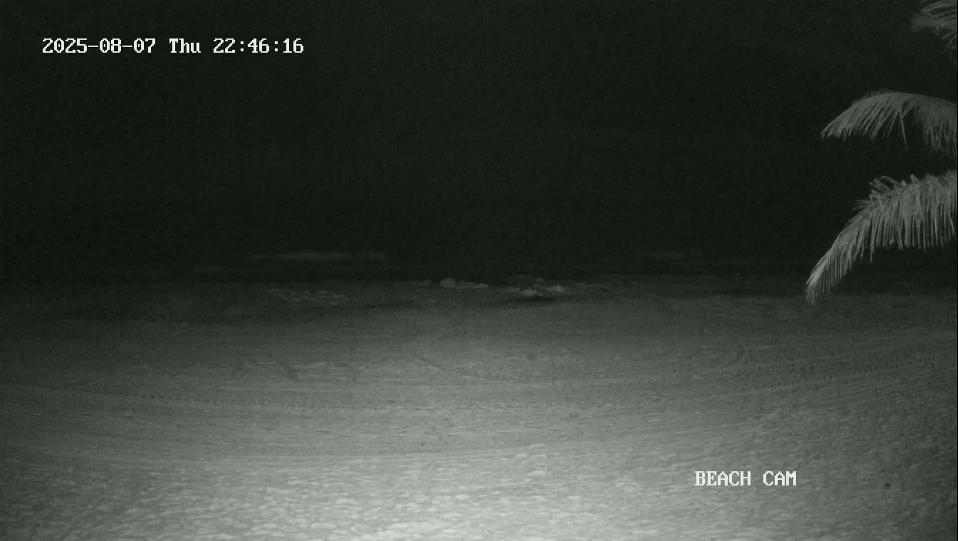 Yucatan, Playa de Tulum Beach Live Cam - Tulum,  Quintana Roo, Mexico