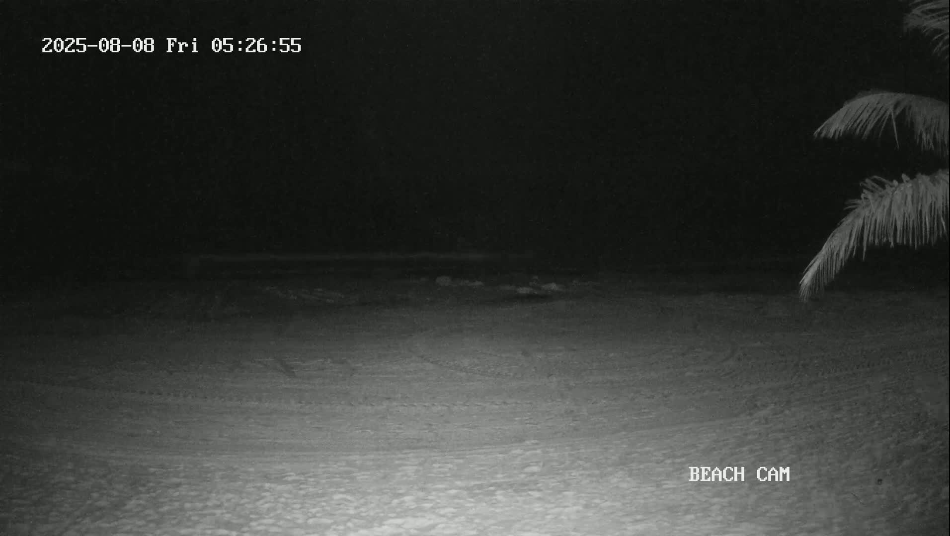 Yucatan, Playa de Tulum Beach Live Cam - Tulum,  Quintana Roo, Mexico