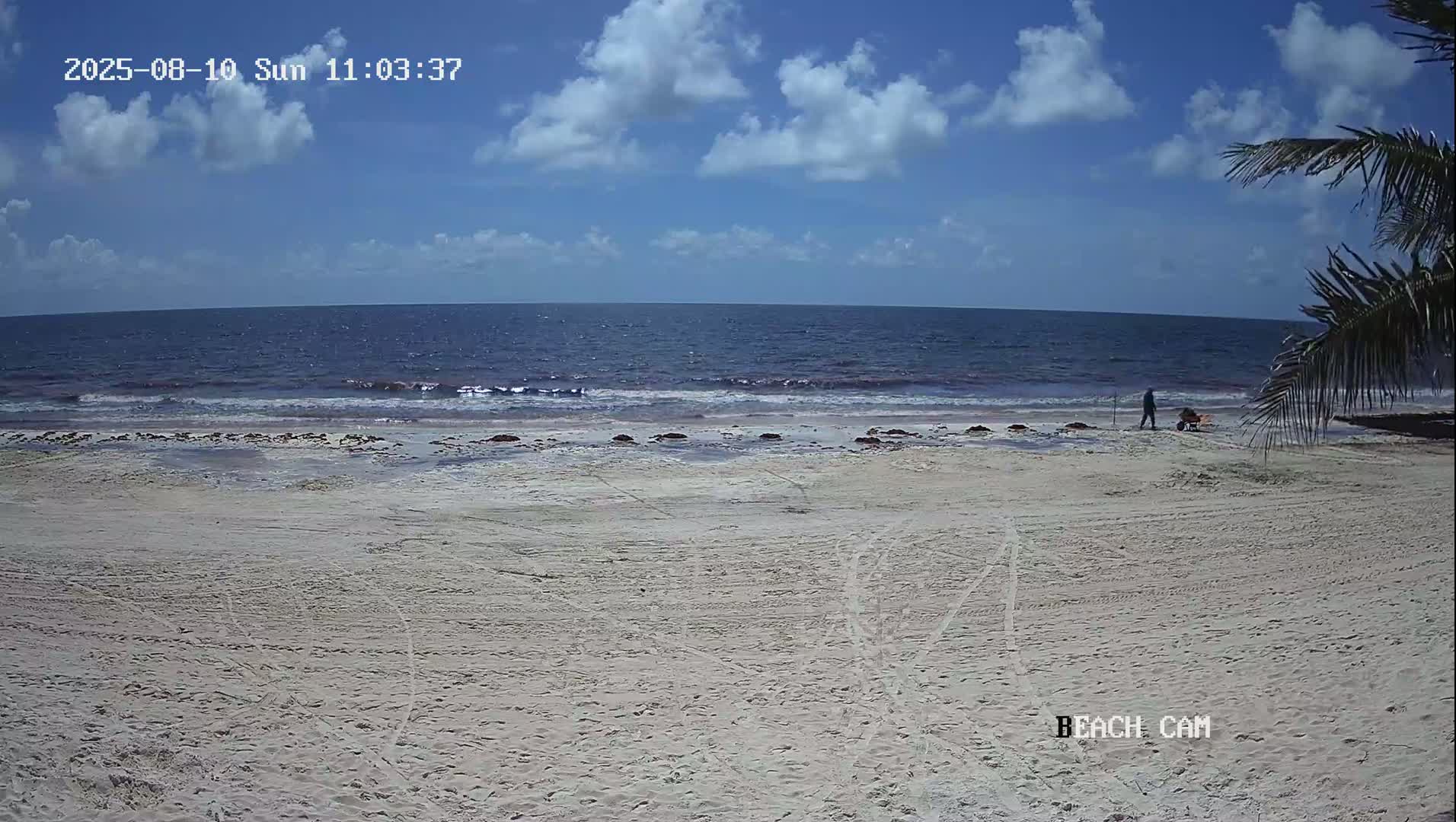 Yucatan, Playa de Tulum Beach Live Cam - Tulum,  Quintana Roo, Mexico